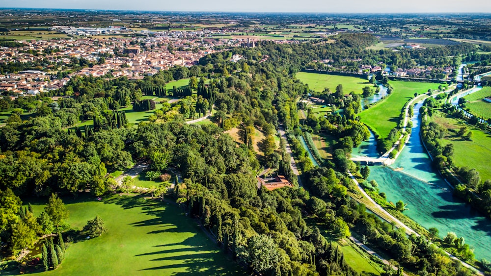 Vista aérea de árboles verdes y río durante el día