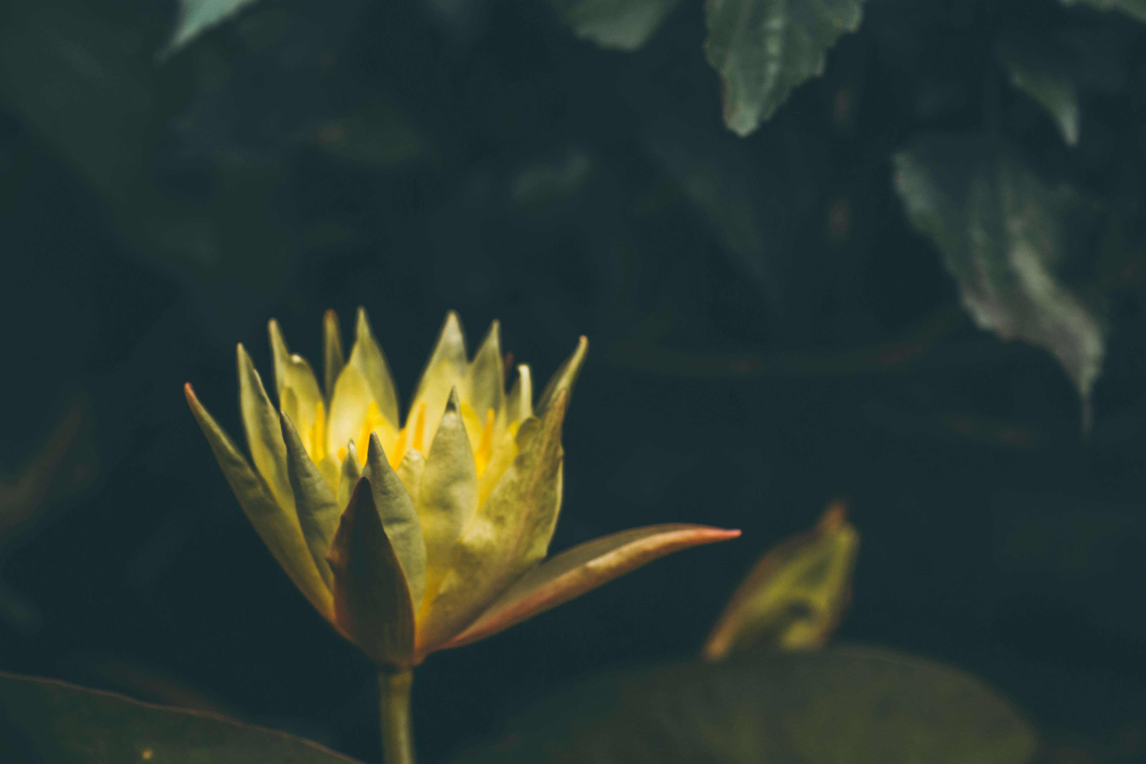 Photo by nielslyhne_kohan