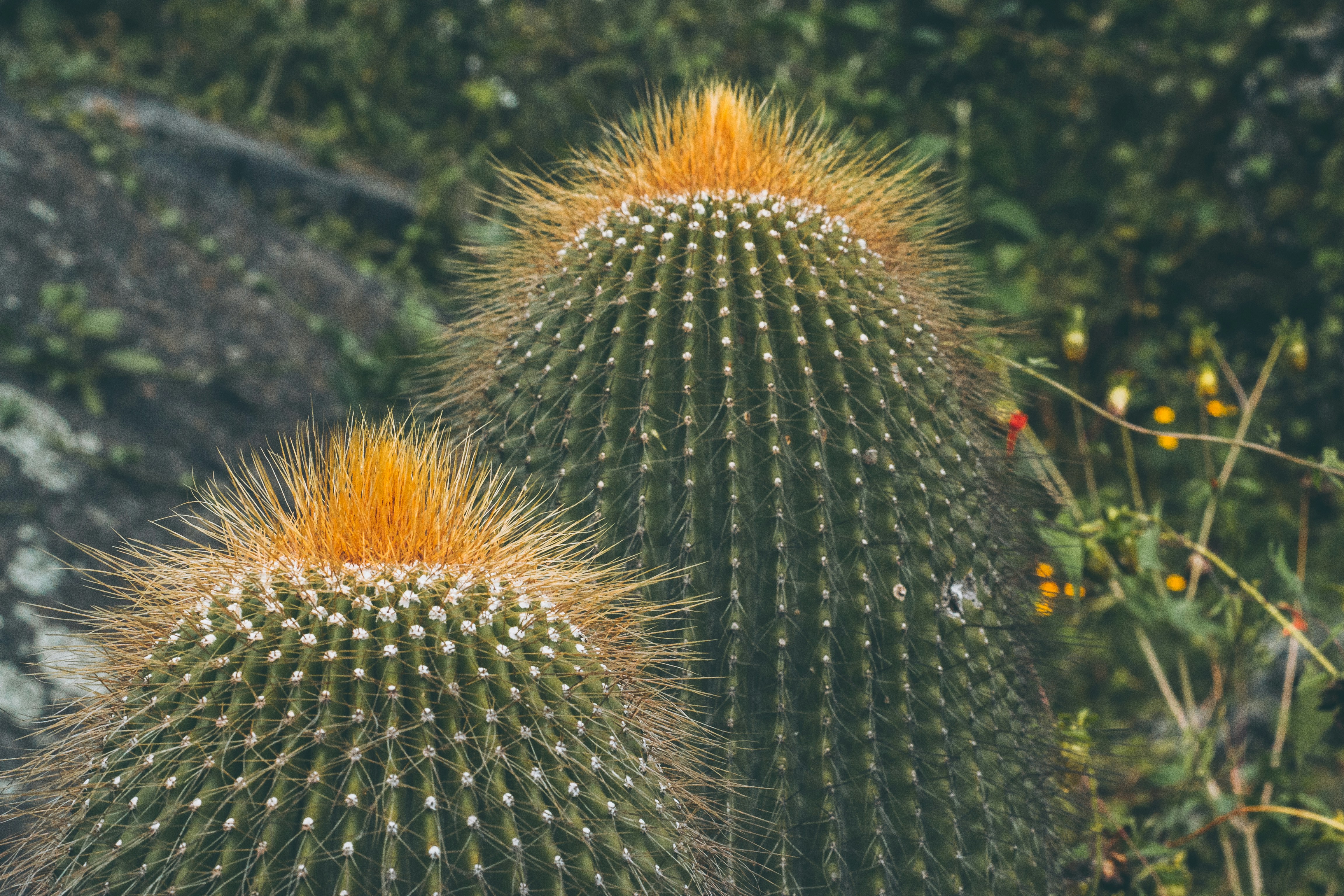 Photo by nielslyhne_kohan