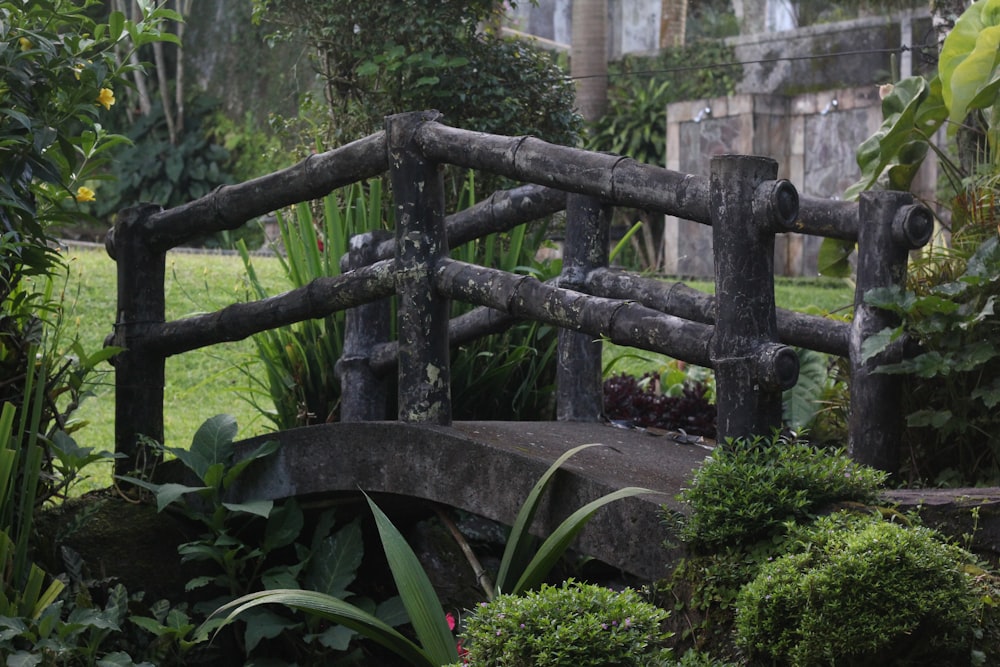 green plants near brown wooden fence