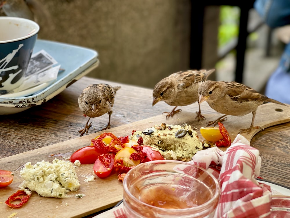 Pájaro marrón y blanco sobre mesa de madera marrón