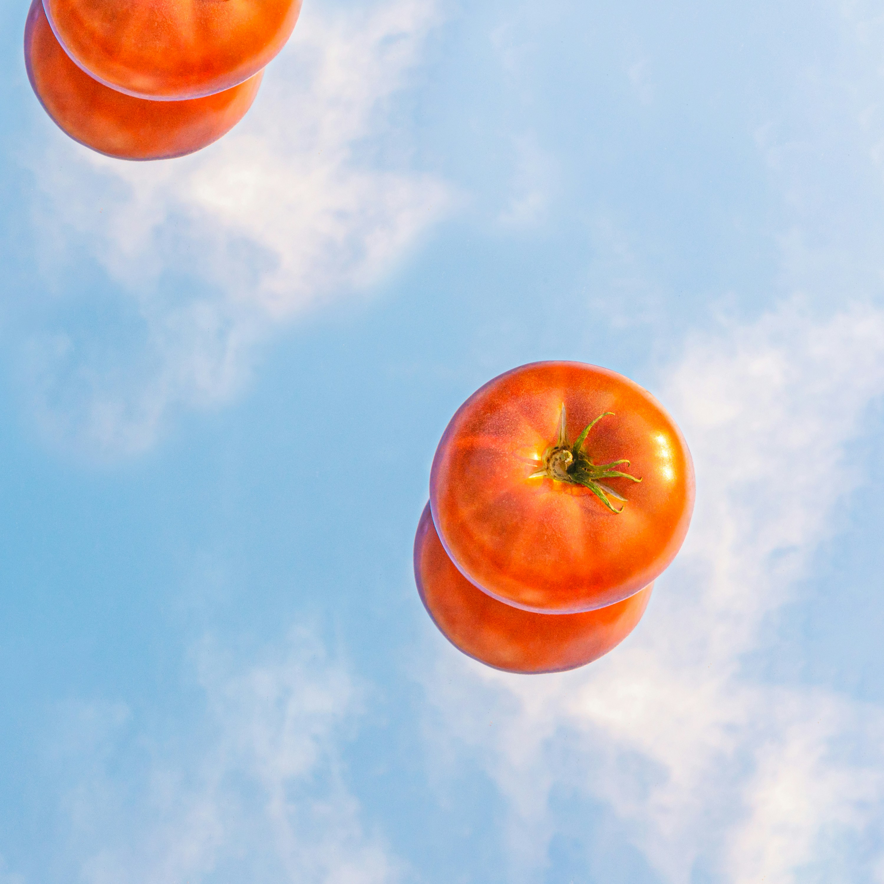 Orange tomato on blue sky