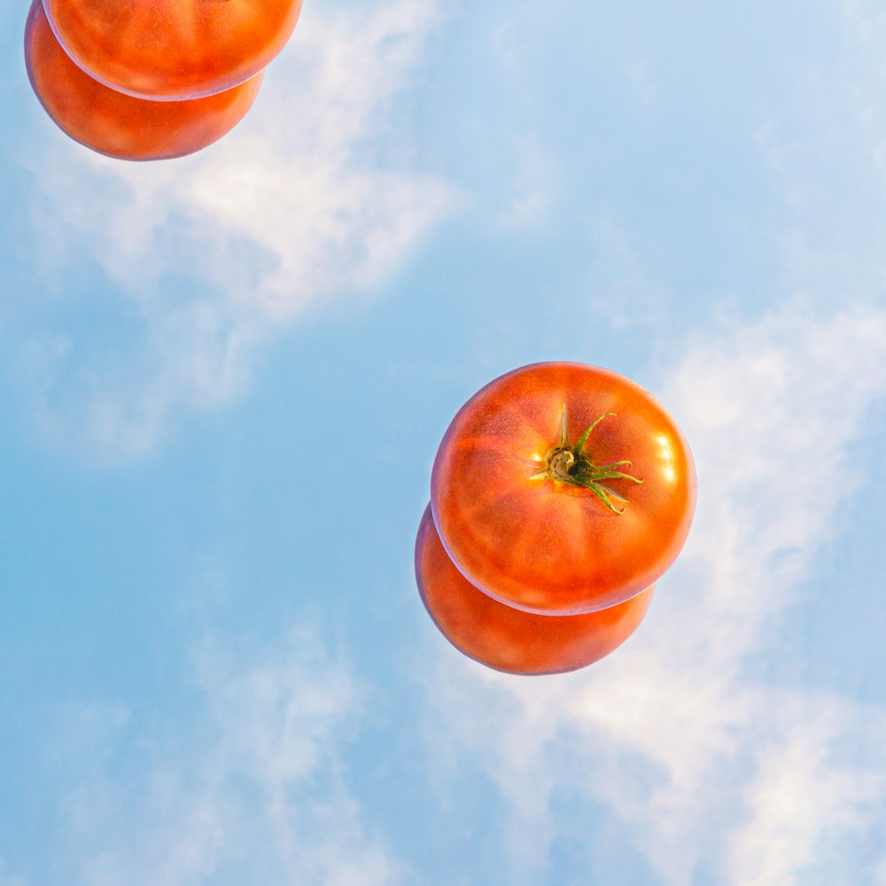 orange tomato on blue sky