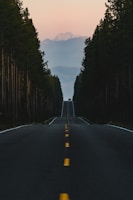 black asphalt road between trees during daytime