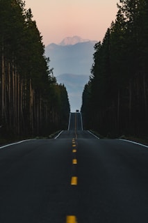 black asphalt road between trees during daytime
