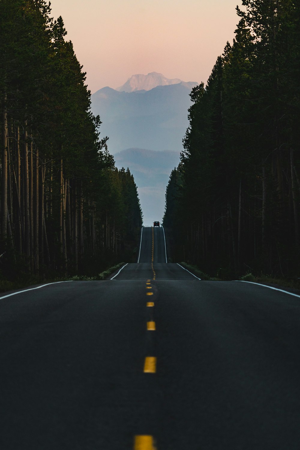 black asphalt road between trees during daytime