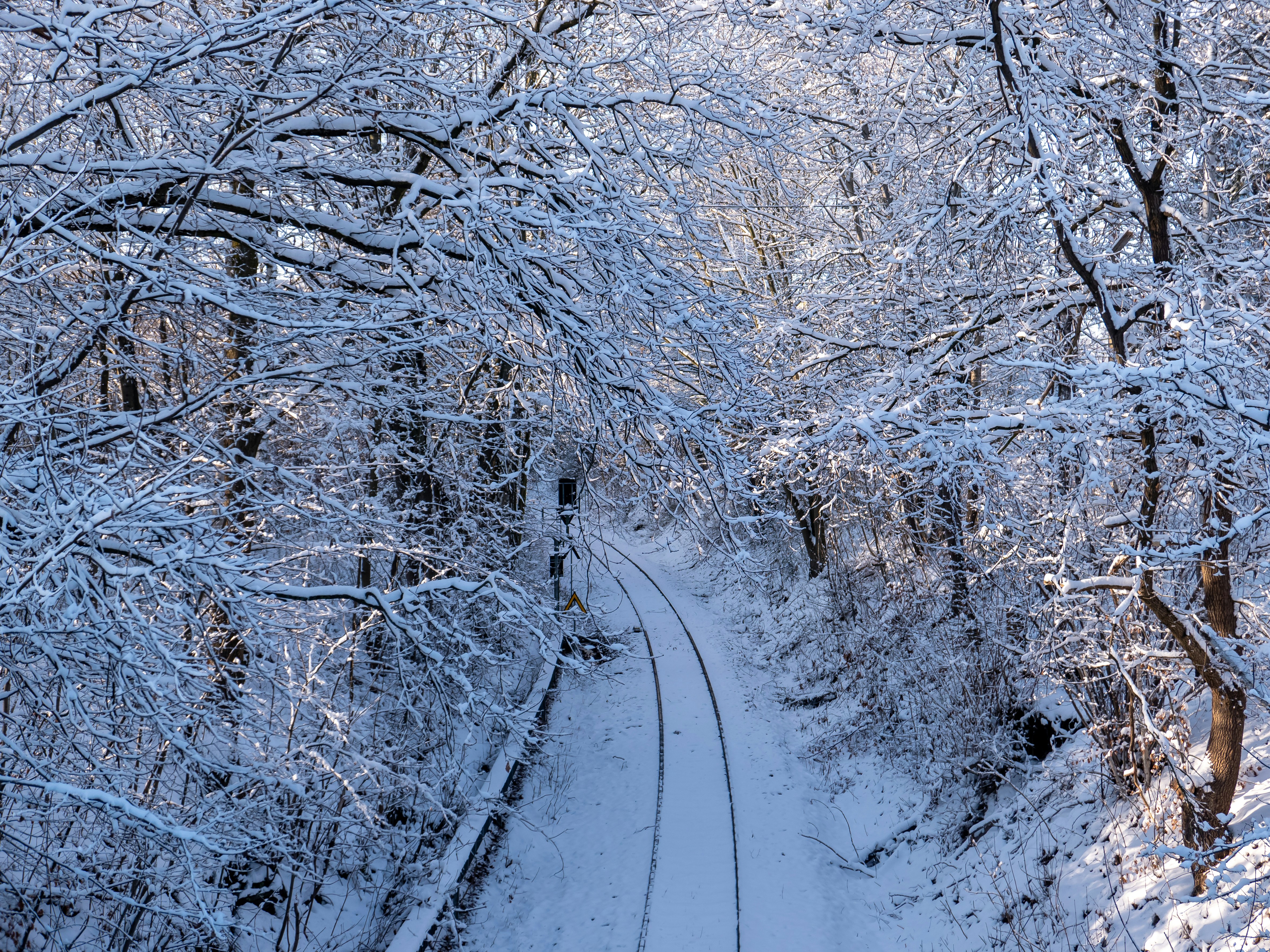 Photo by sangga_selia