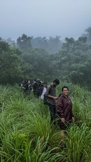 A group of people is hiking through tall grass in a lush, misty forest. They are wearing raincoats and appear to be enjoying their trek in the natural surroundings. The background is filled with dense trees under a cloudy sky, creating a serene and adventurous atmosphere.