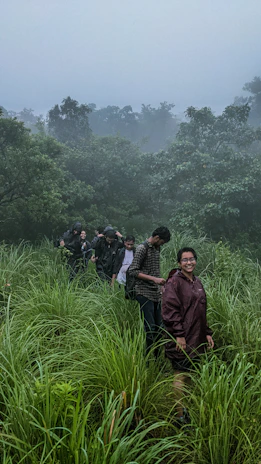 Adventurous hikers trekking through misty mountain trails surrounded by lush forest.