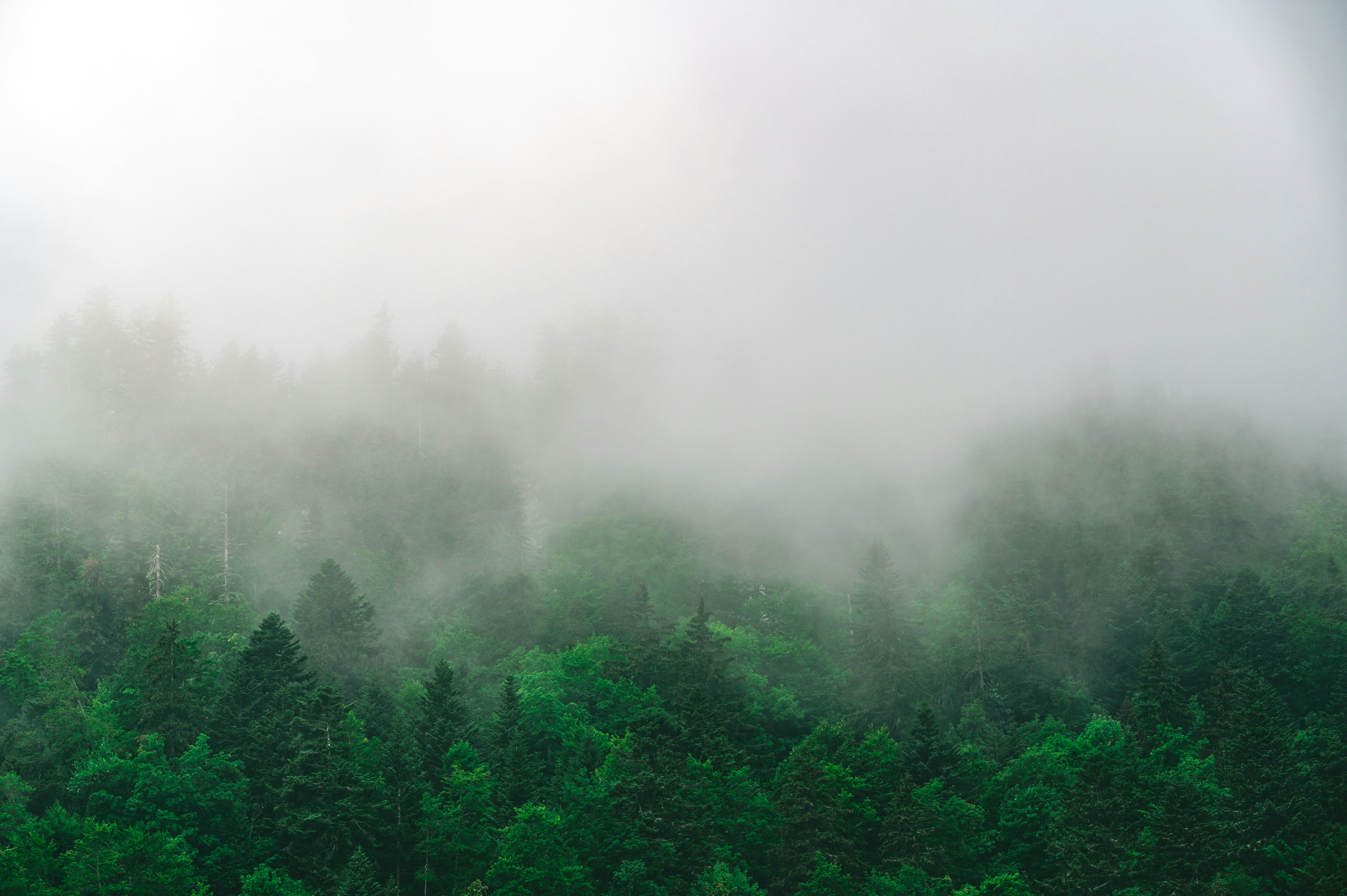 Photo by andreasbrun