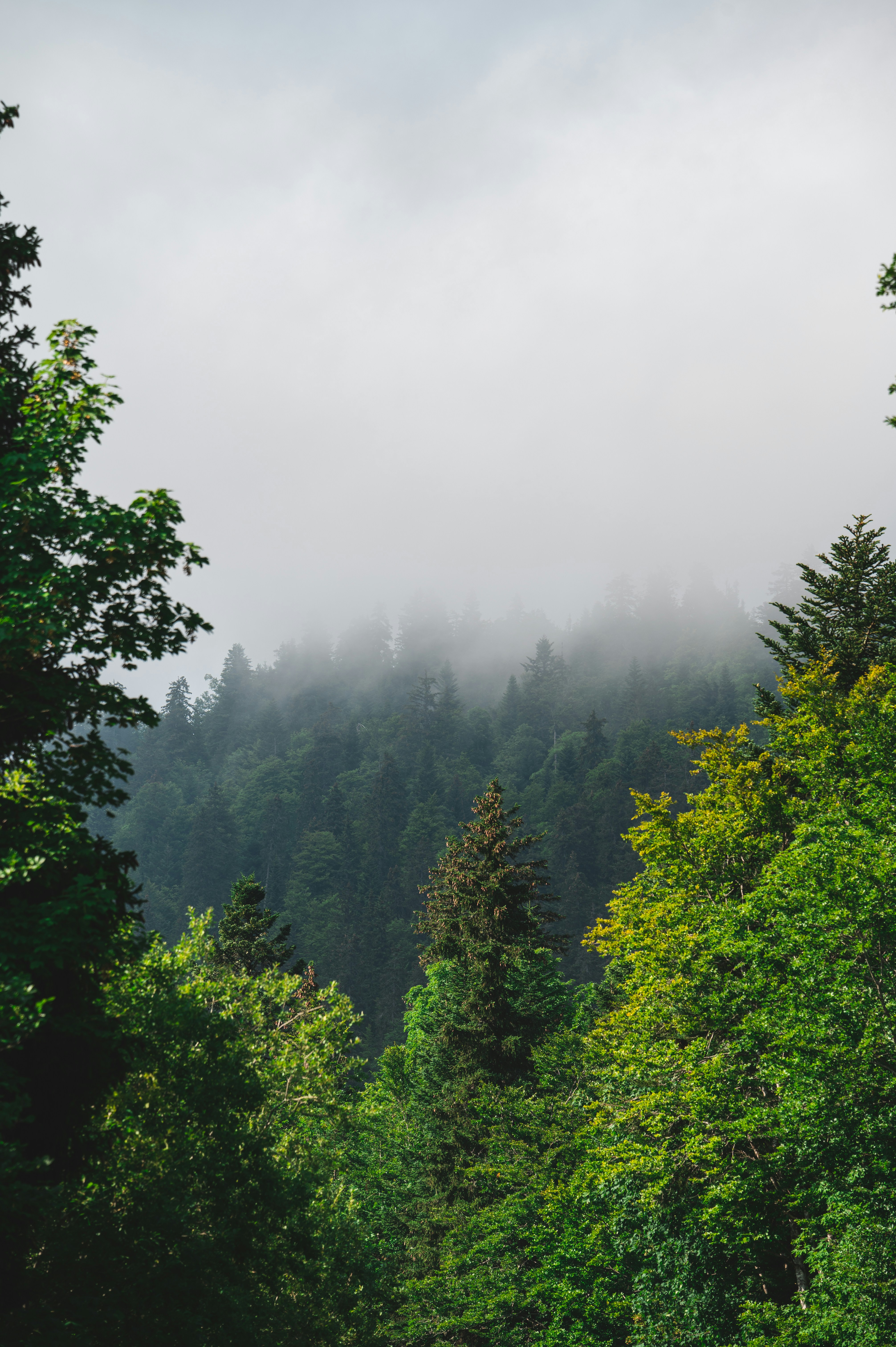 Photo by andreasbrun