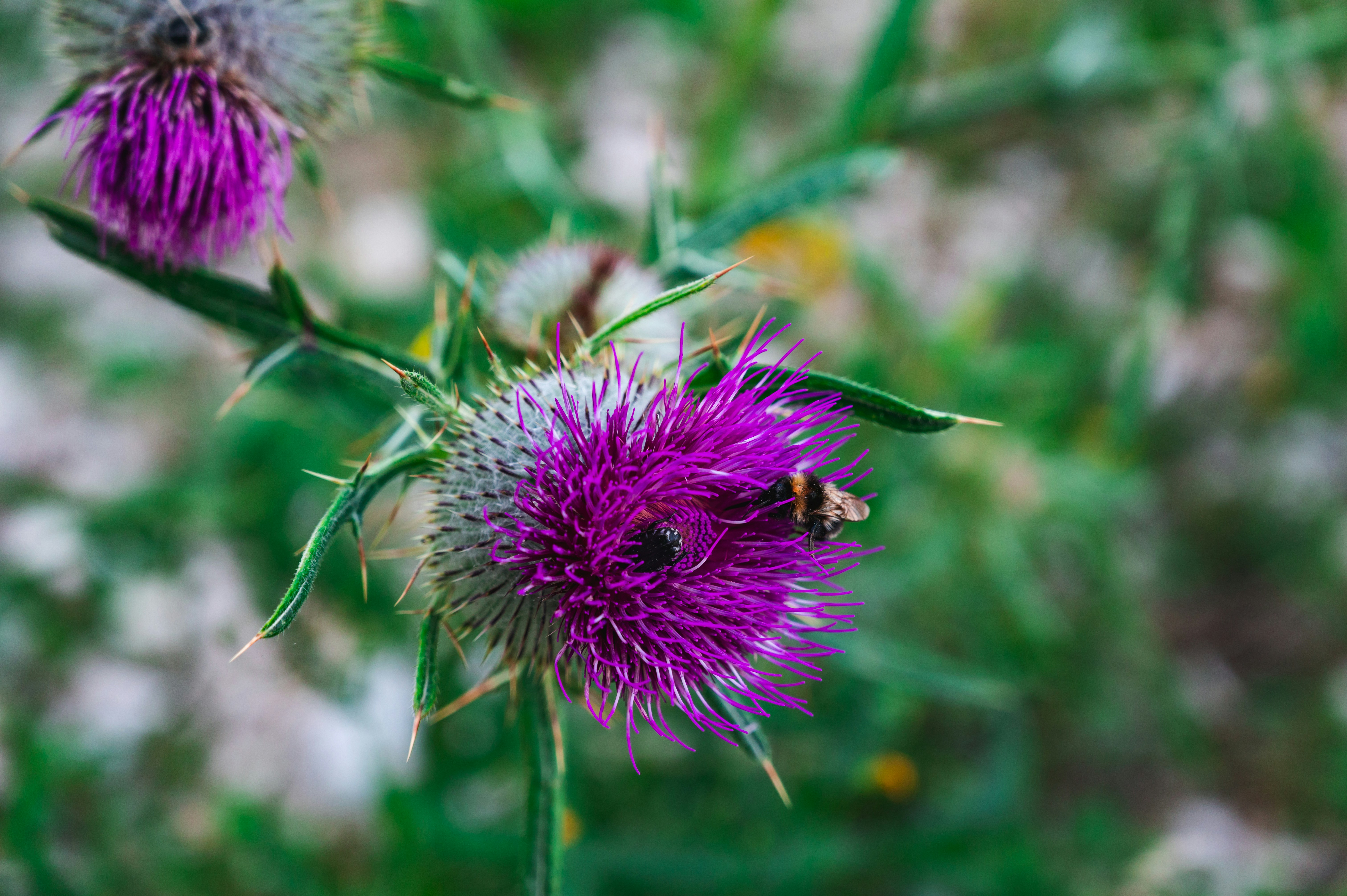 Photo by andreasbrun