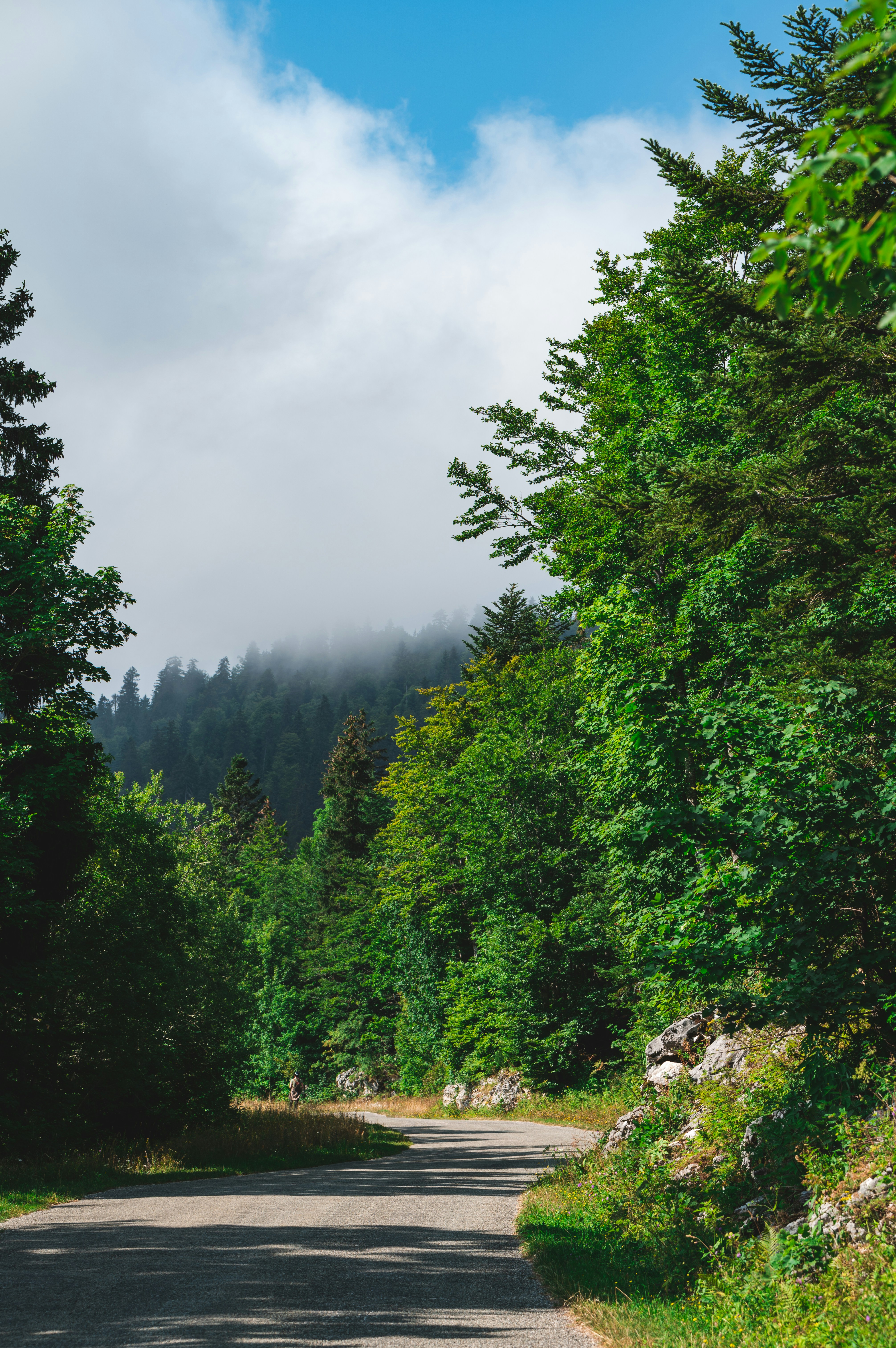 Photo by andreasbrun