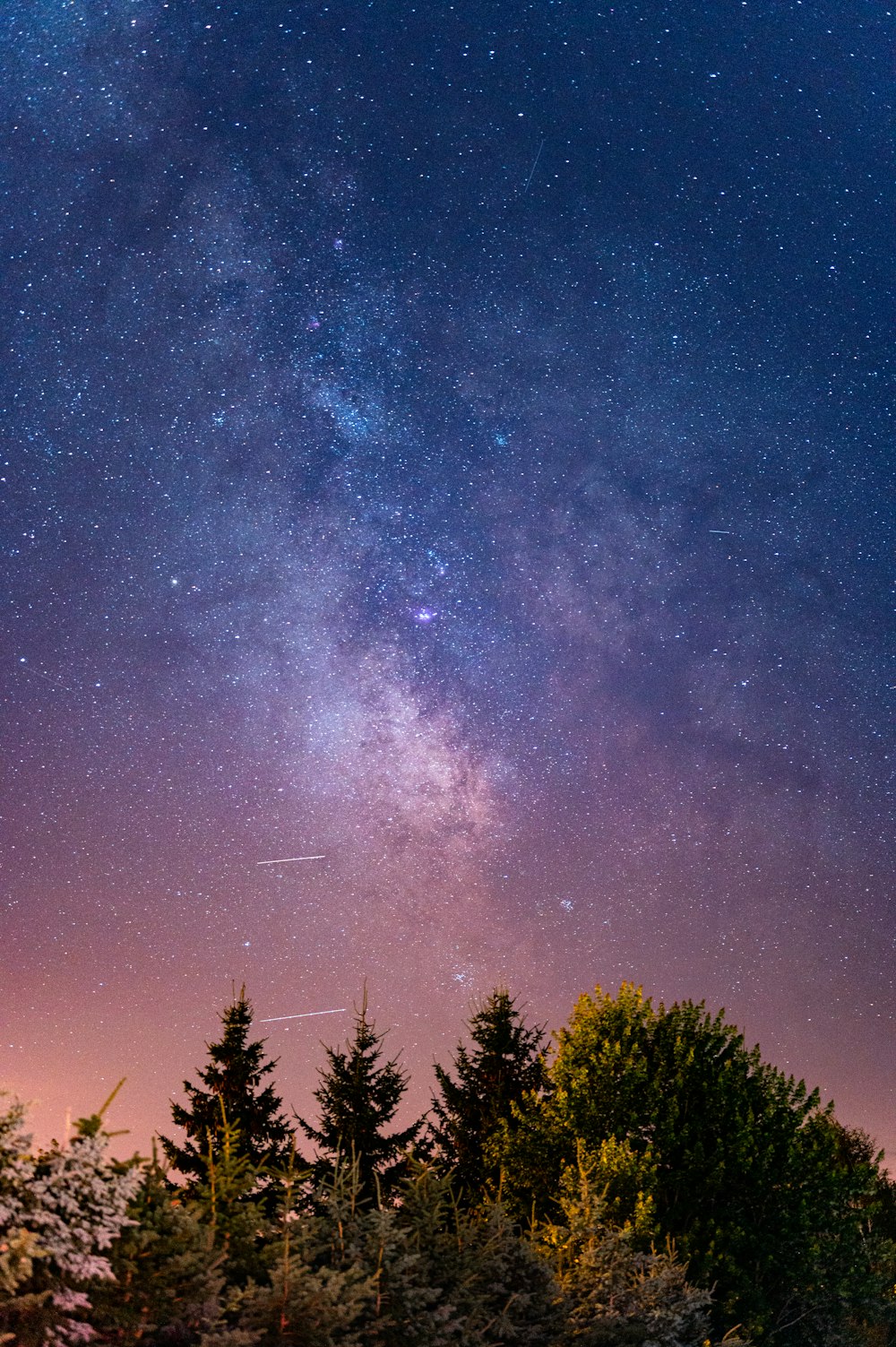 green trees under blue sky during night time