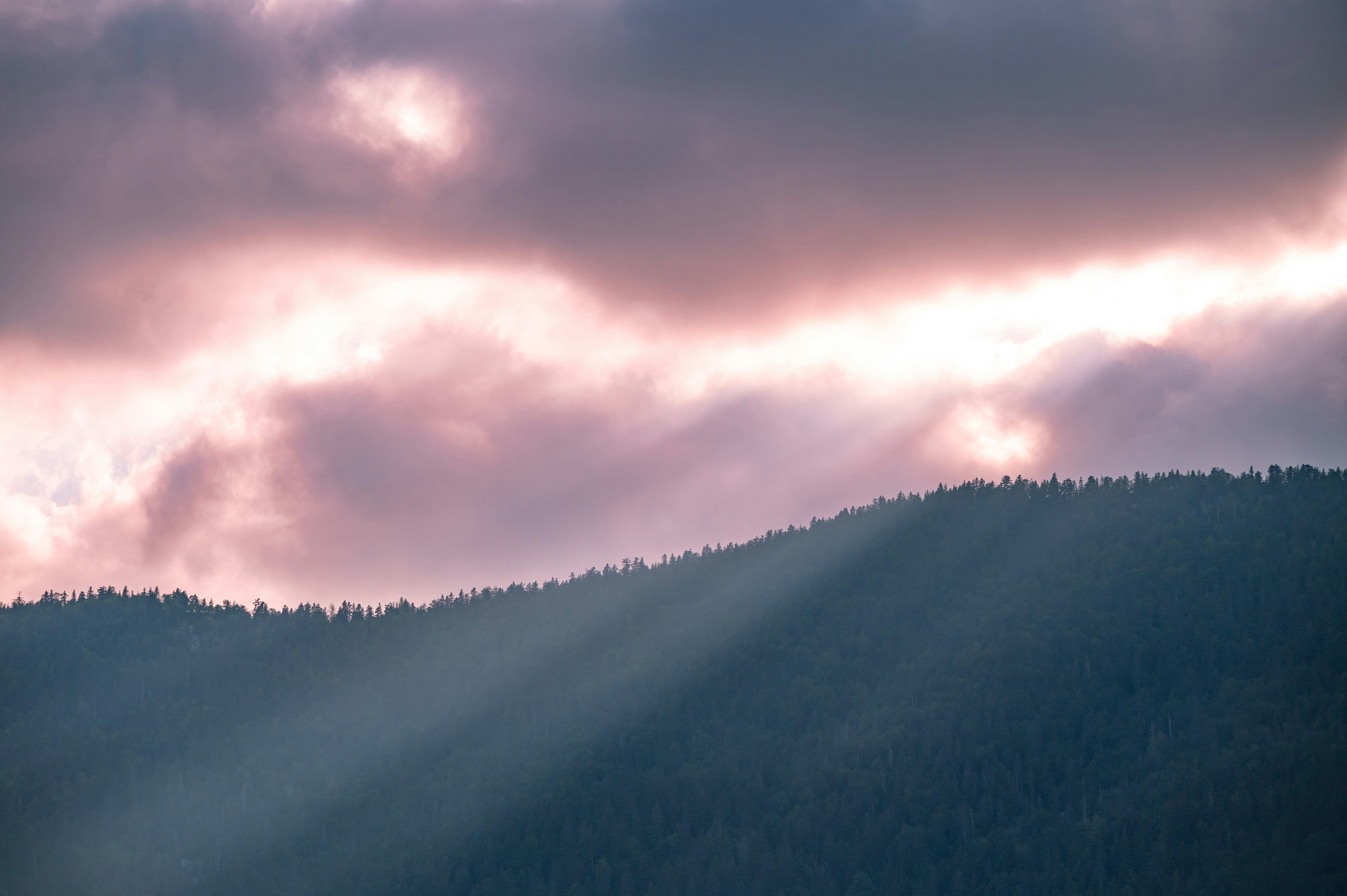 Photo by andreasbrun