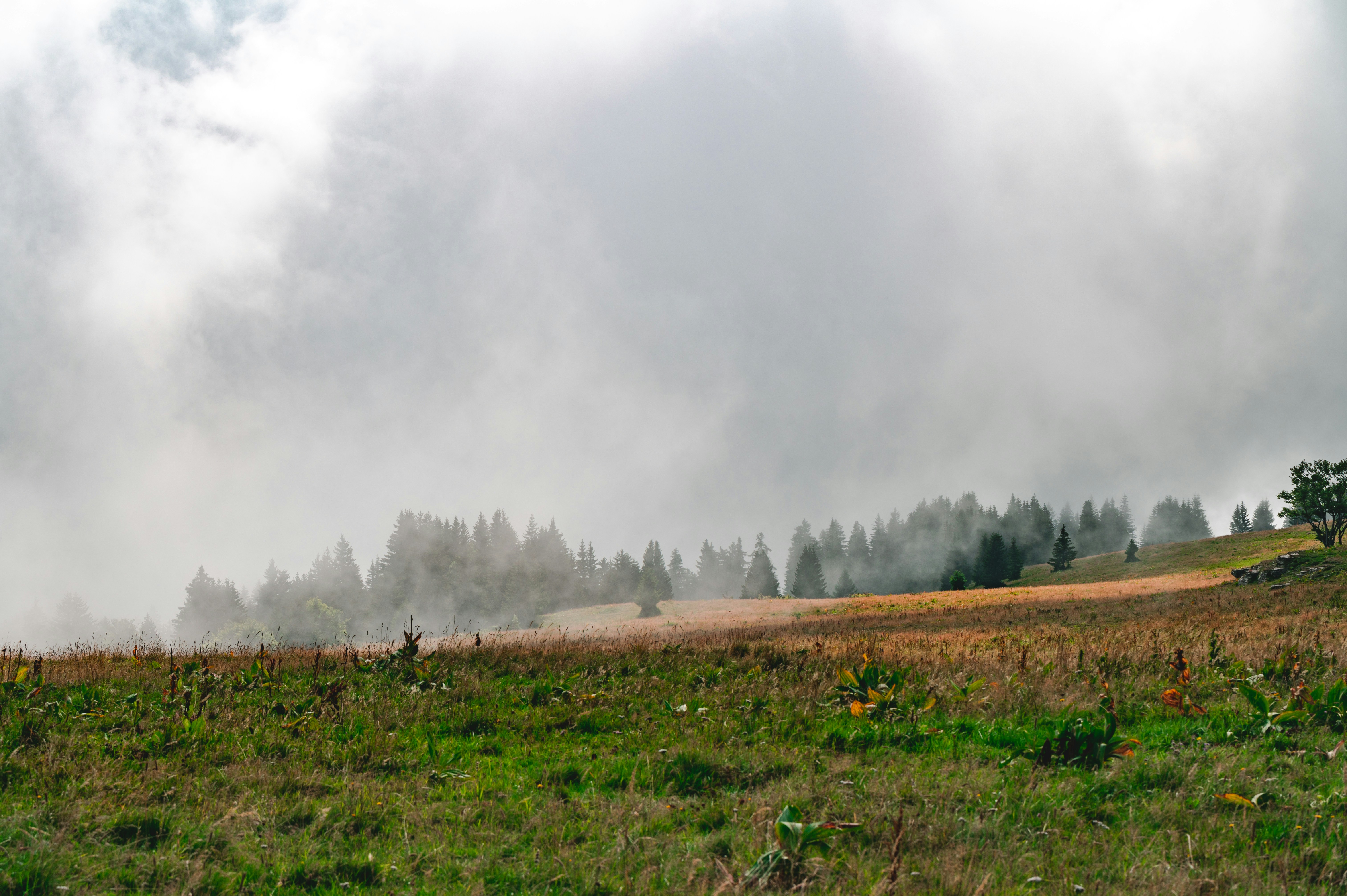 Photo by andreasbrun