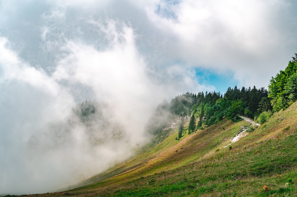 green grass field under white clouds