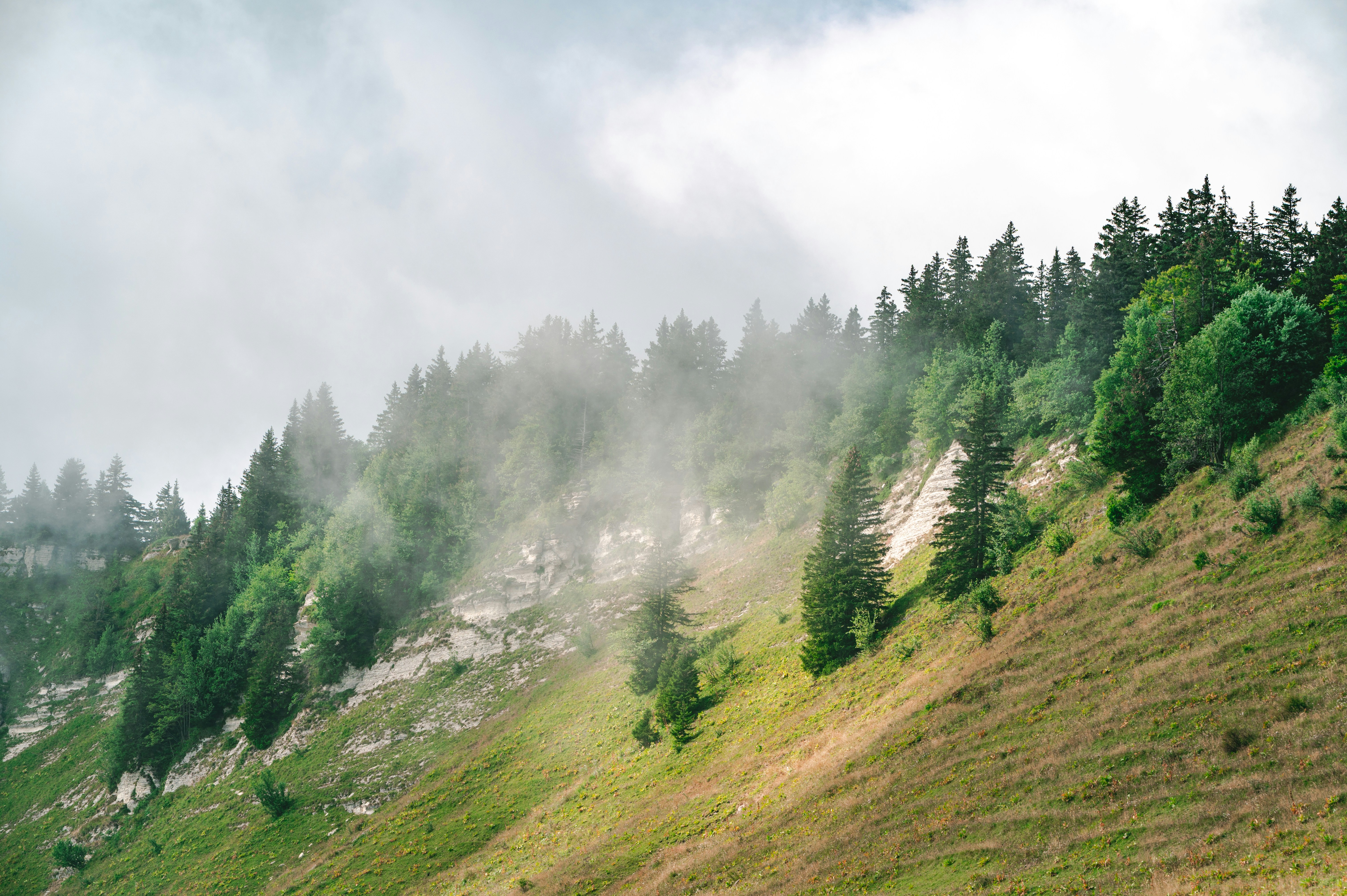 Photo by andreasbrun