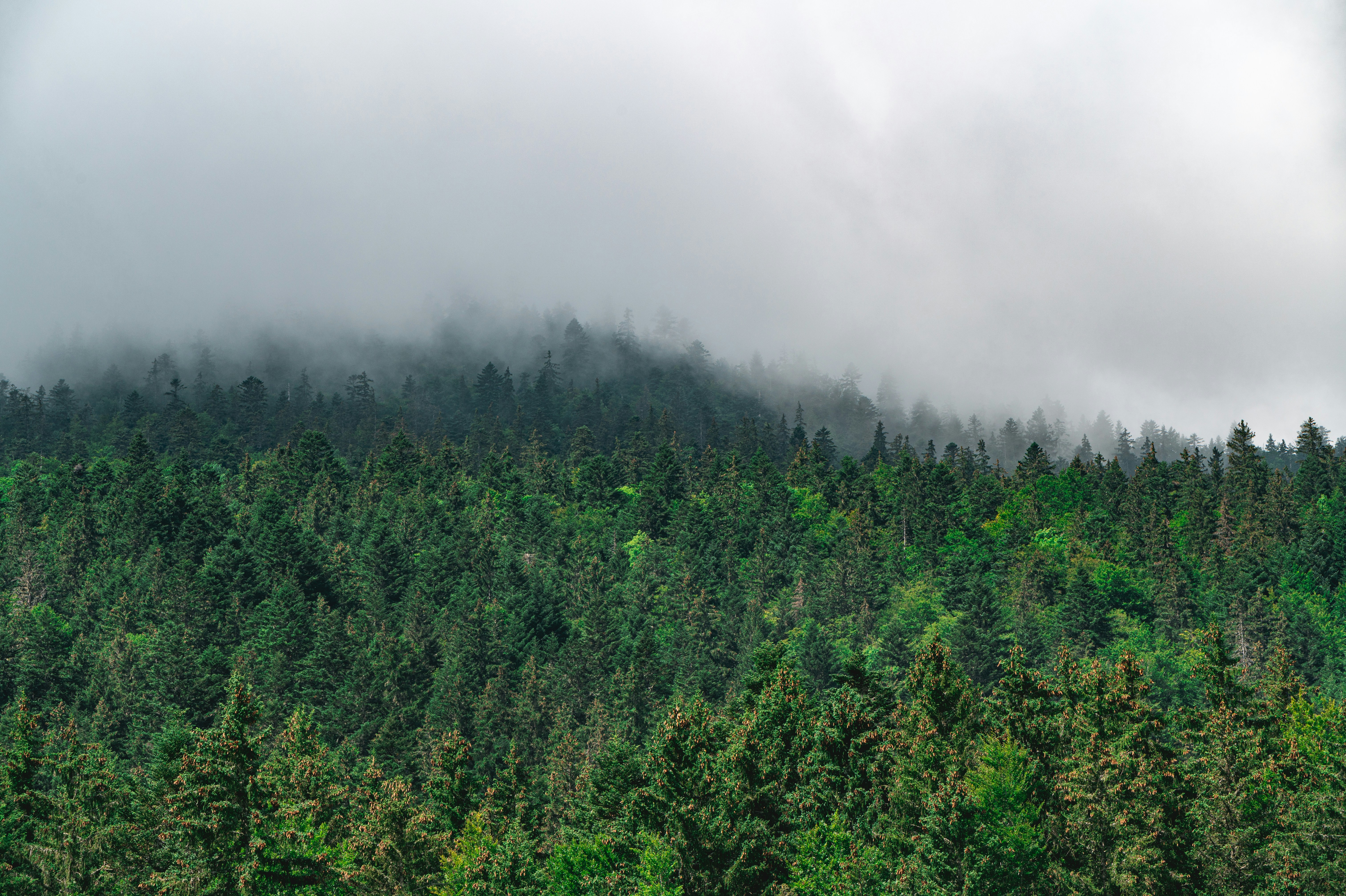 Photo by andreasbrun