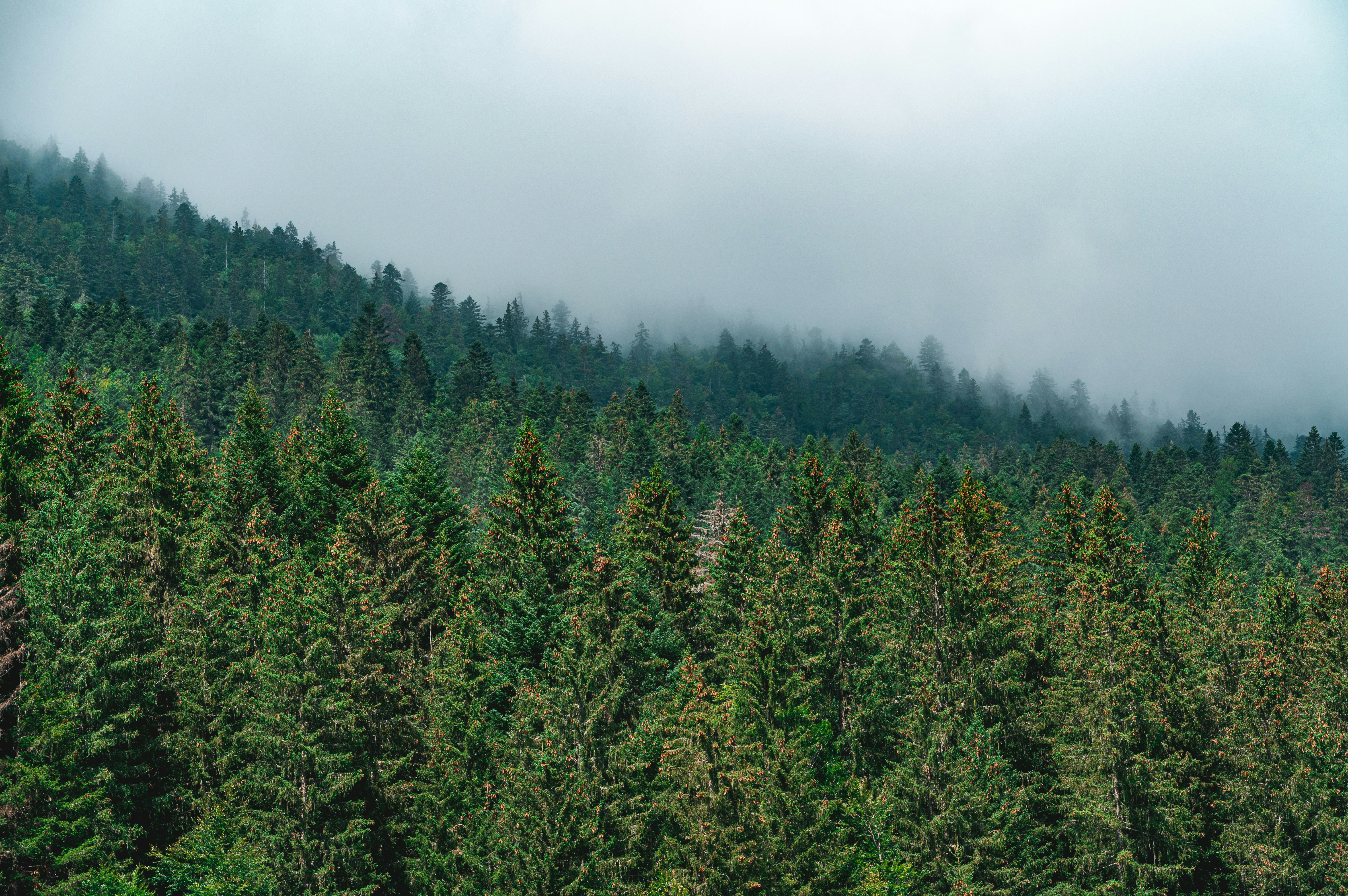 Photo by andreasbrun