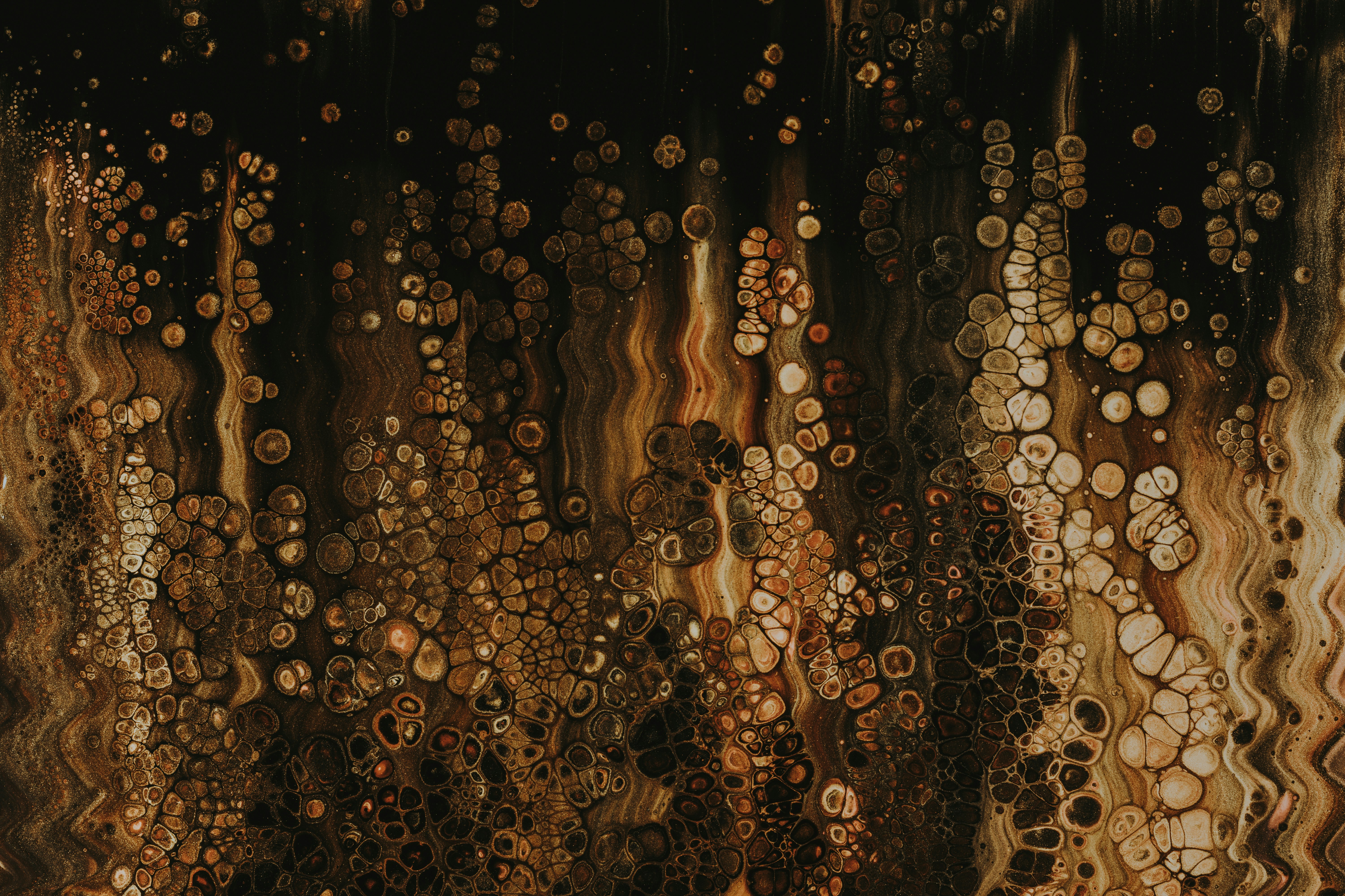 Photo by pawel_czerwinski