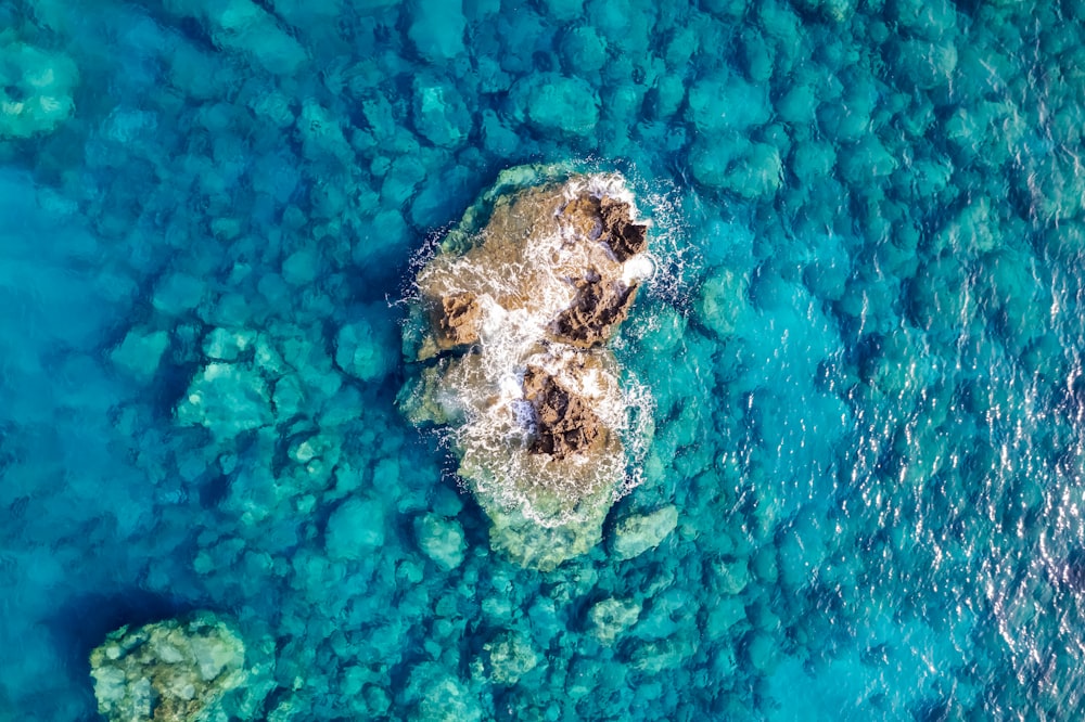 brown and white stone on water