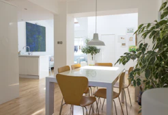 Contemporary dining table with matching chairs set against a bright white backdrop