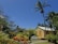 A bright yellow and orange wooden house is set amidst lush tropical vegetation, with a clear blue sky overhead. A white bench sits near a path surrounded by a variety of plants and trees, including tall palm trees and various colorful foliage.