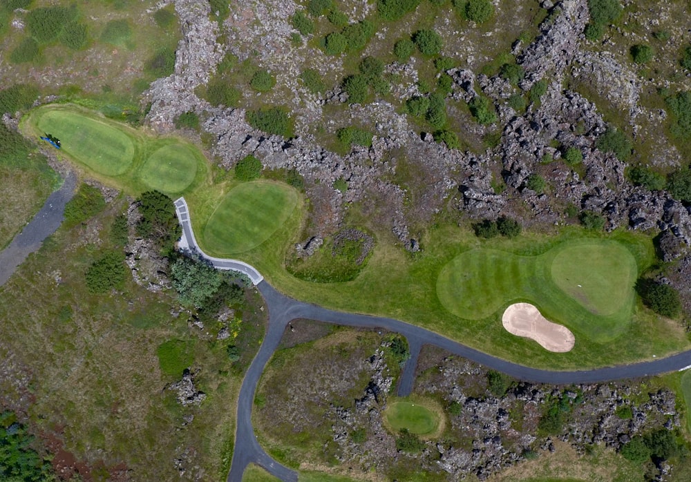 aerial view of green trees and green grass field