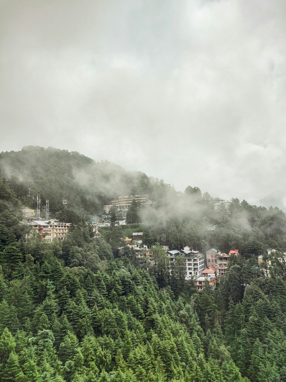 green trees and city buildings under white clouds during daytime