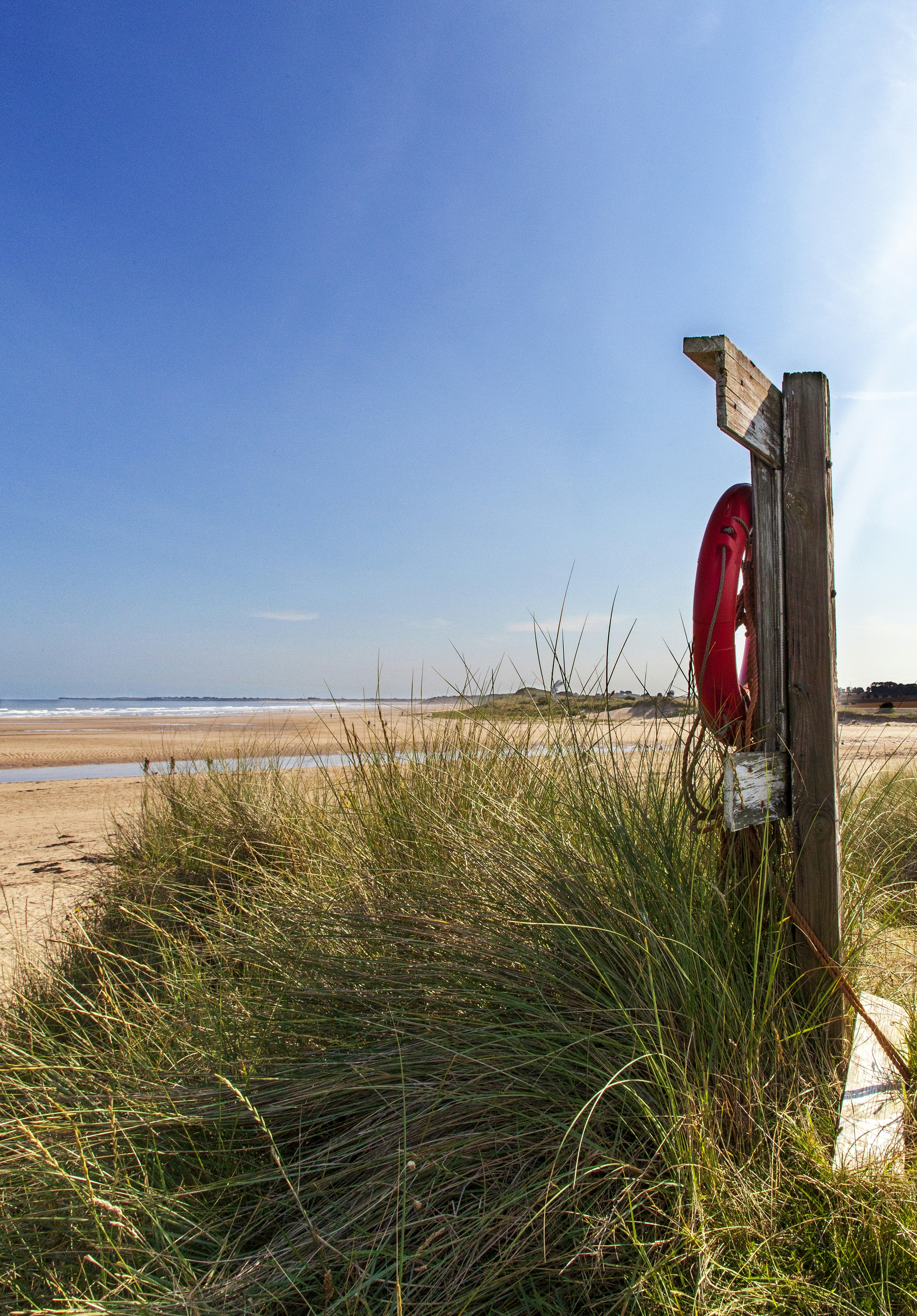 Photo by campfire_guy