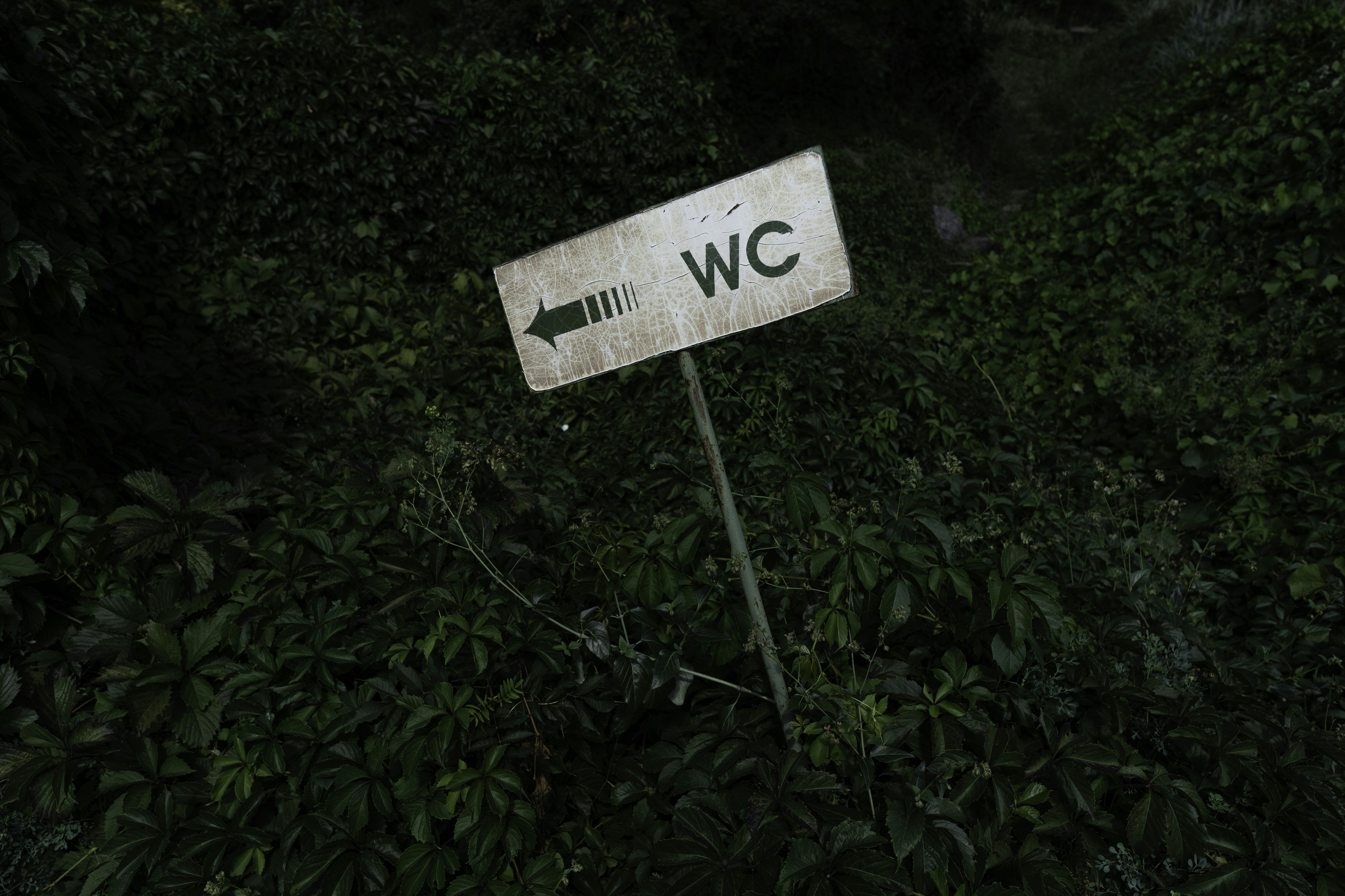 WC sign