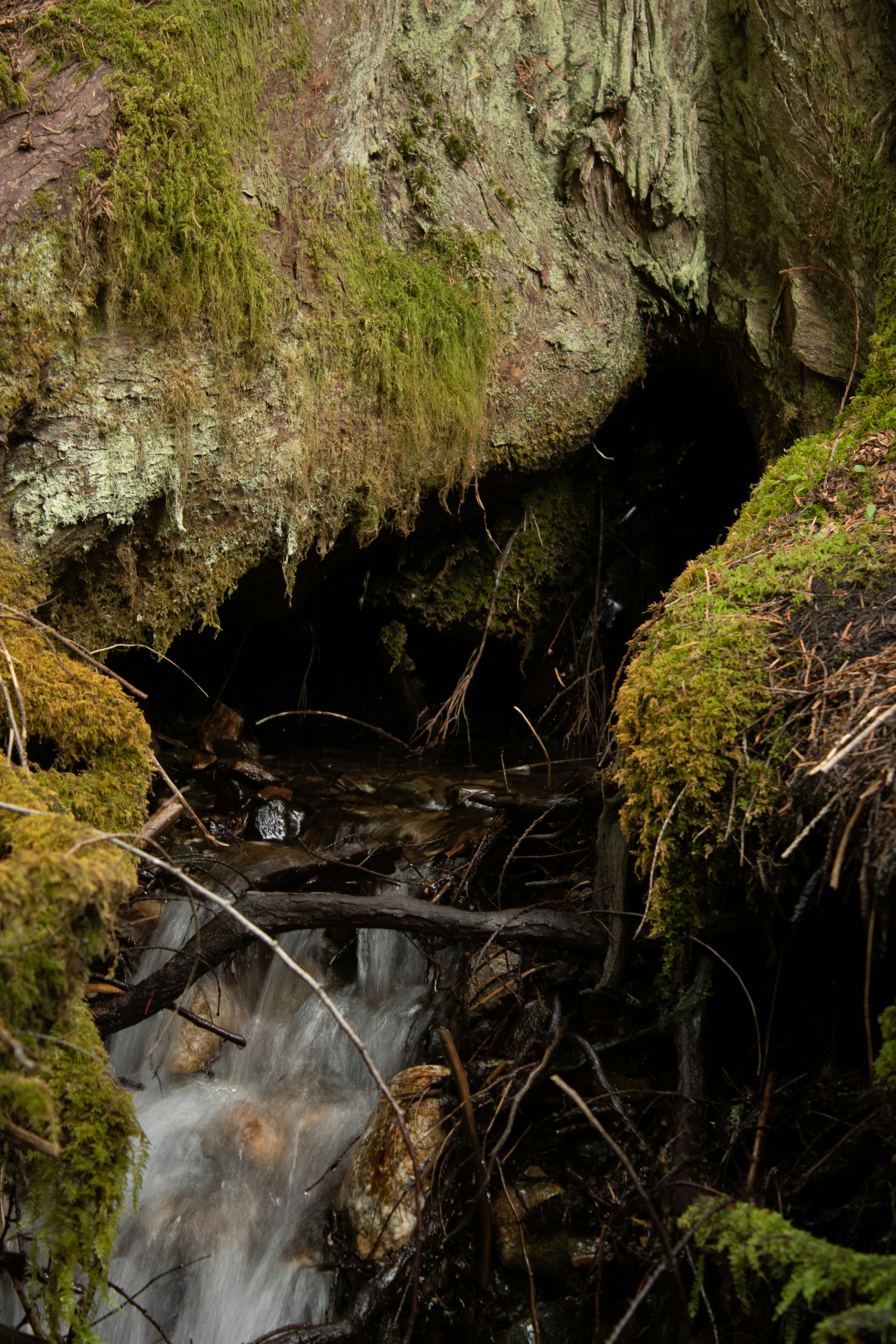 Photo by scott_griffin