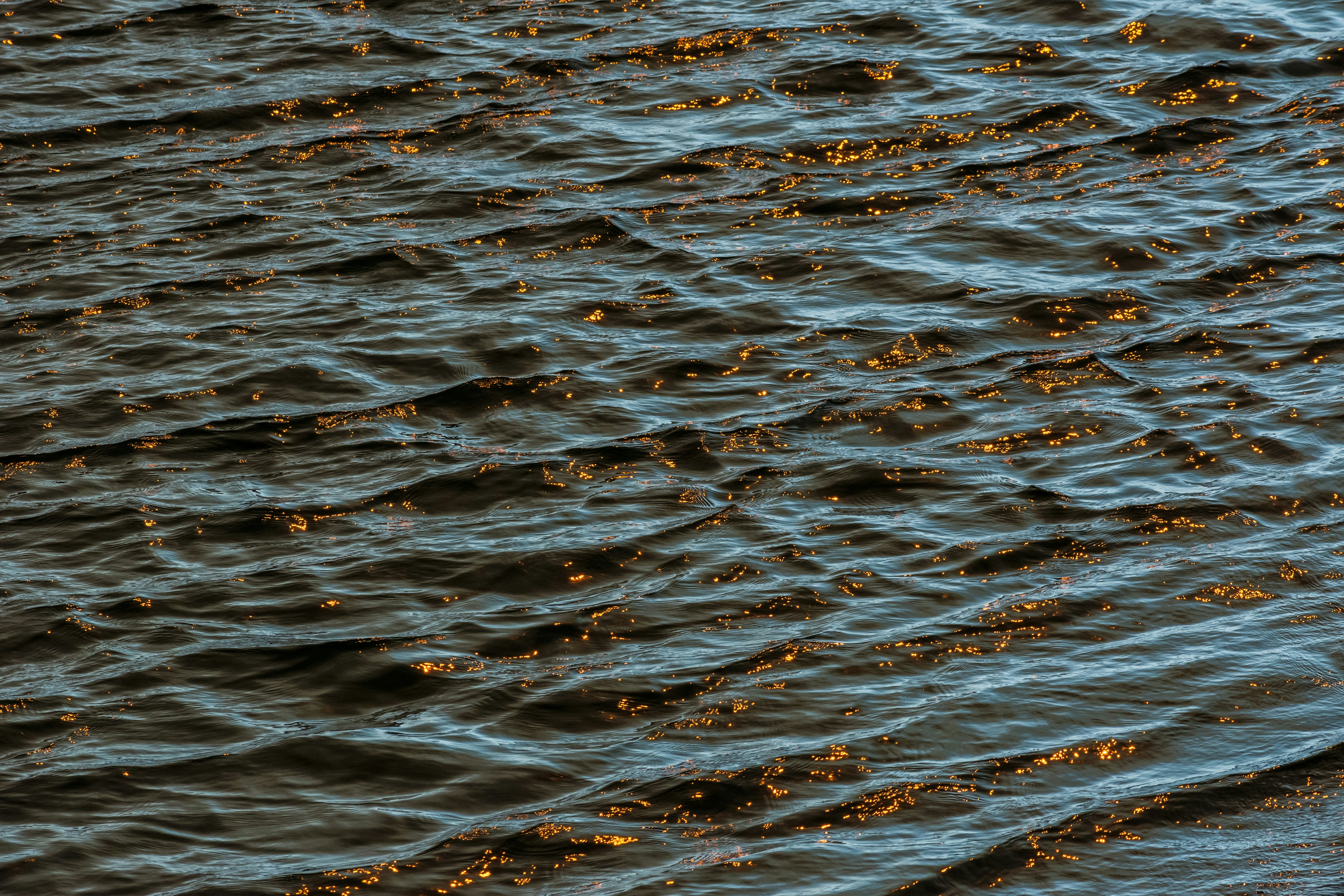 Photo by trommelkopf