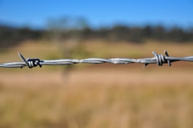 A close-up view of a barbed wire fence in focus, with a blurred background of an open field and clear blue sky. The wire is sharp and metallic, creating a contrast against the soft, out-of-focus landscape.