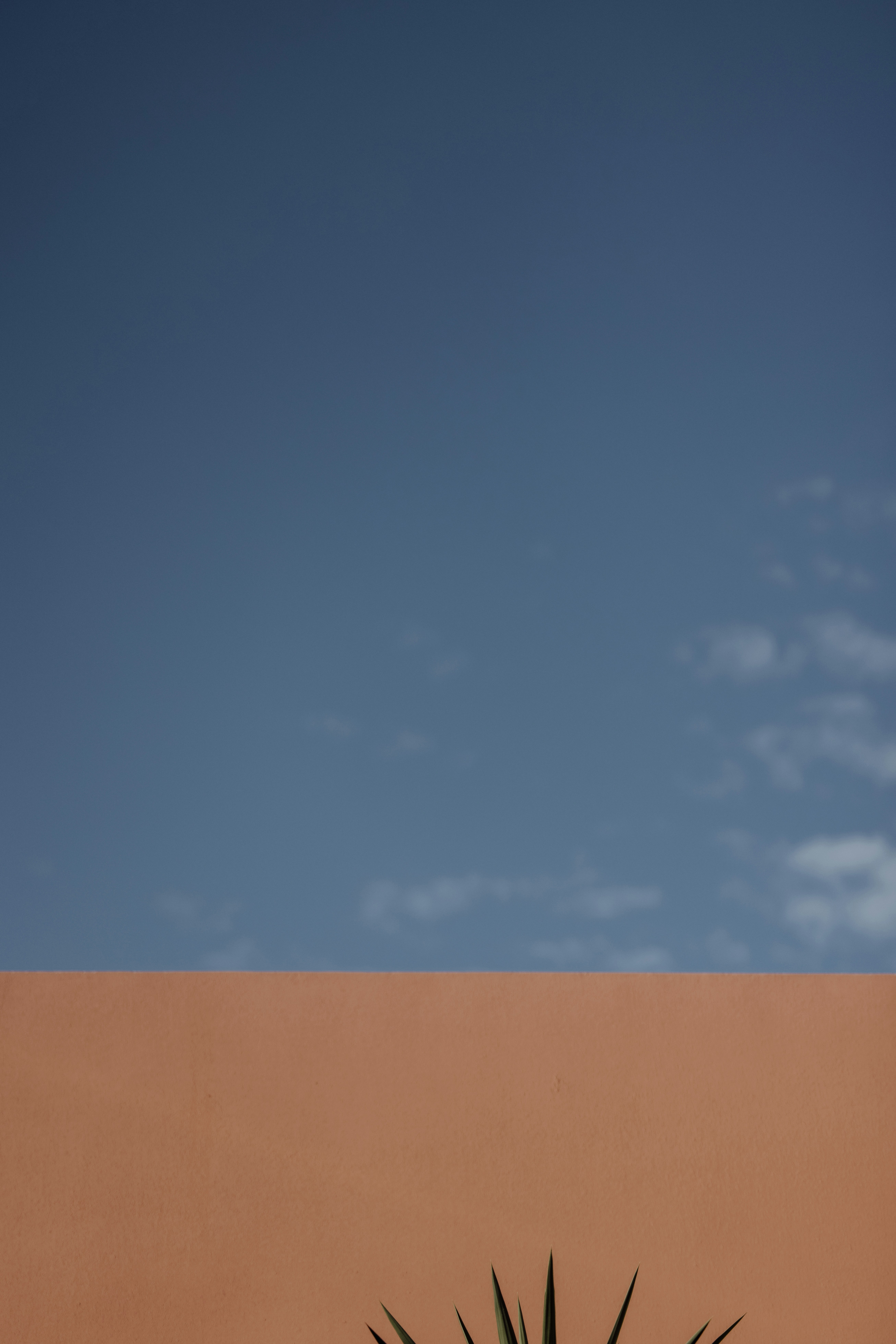 Photo by joshwithers