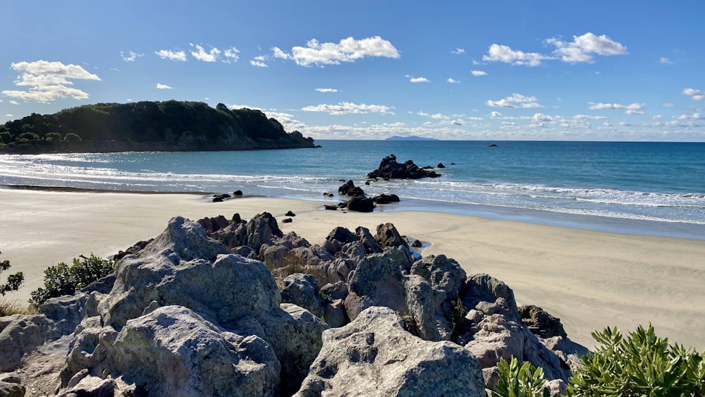 gray rocky shore under blue sky during daytime