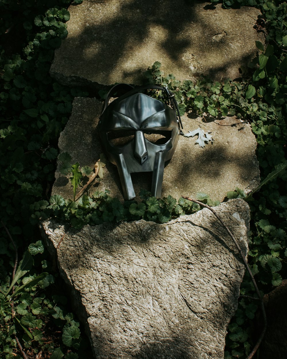 gray and black mask on brown rock