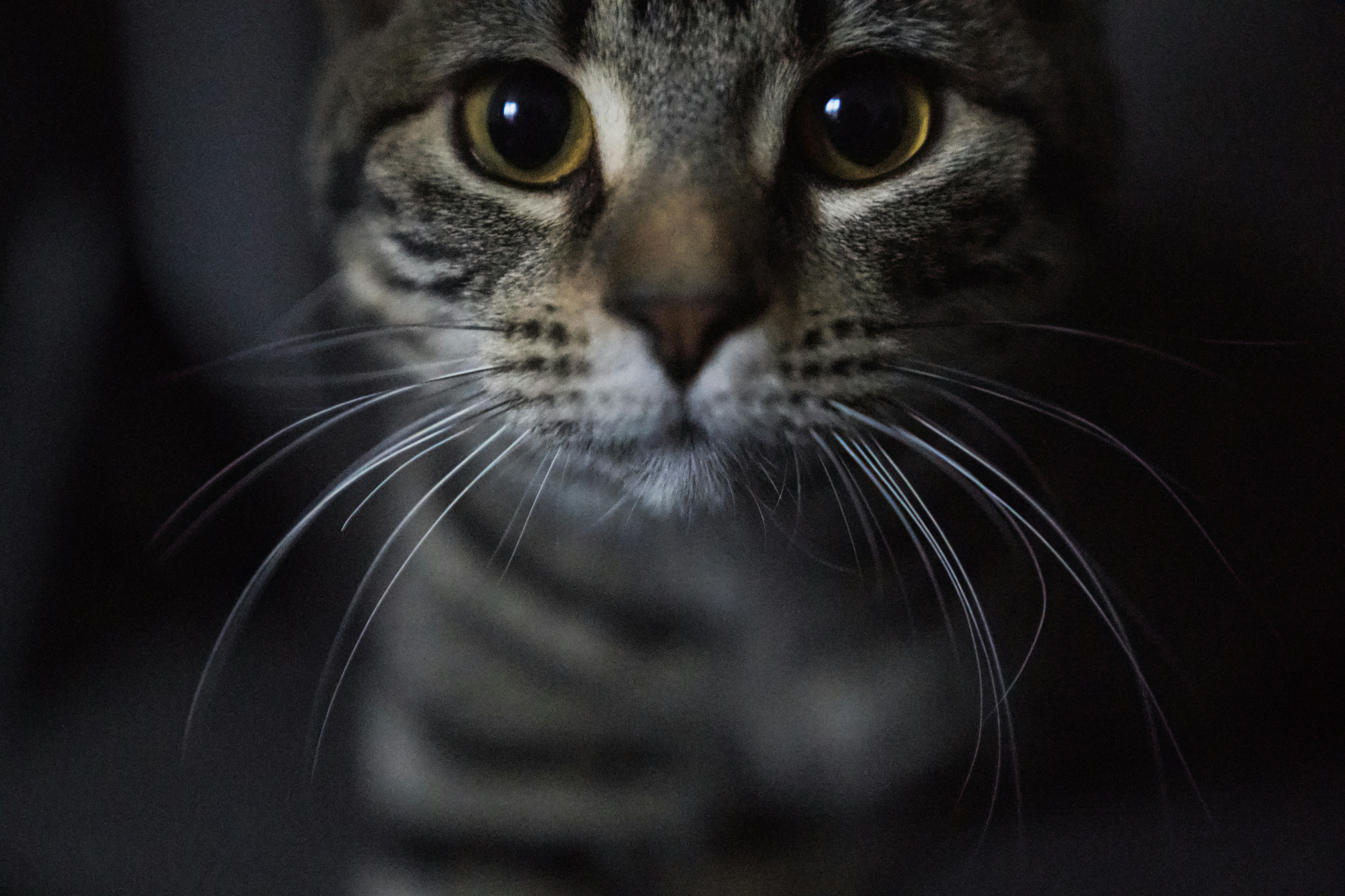 Photo by ycbrphotography