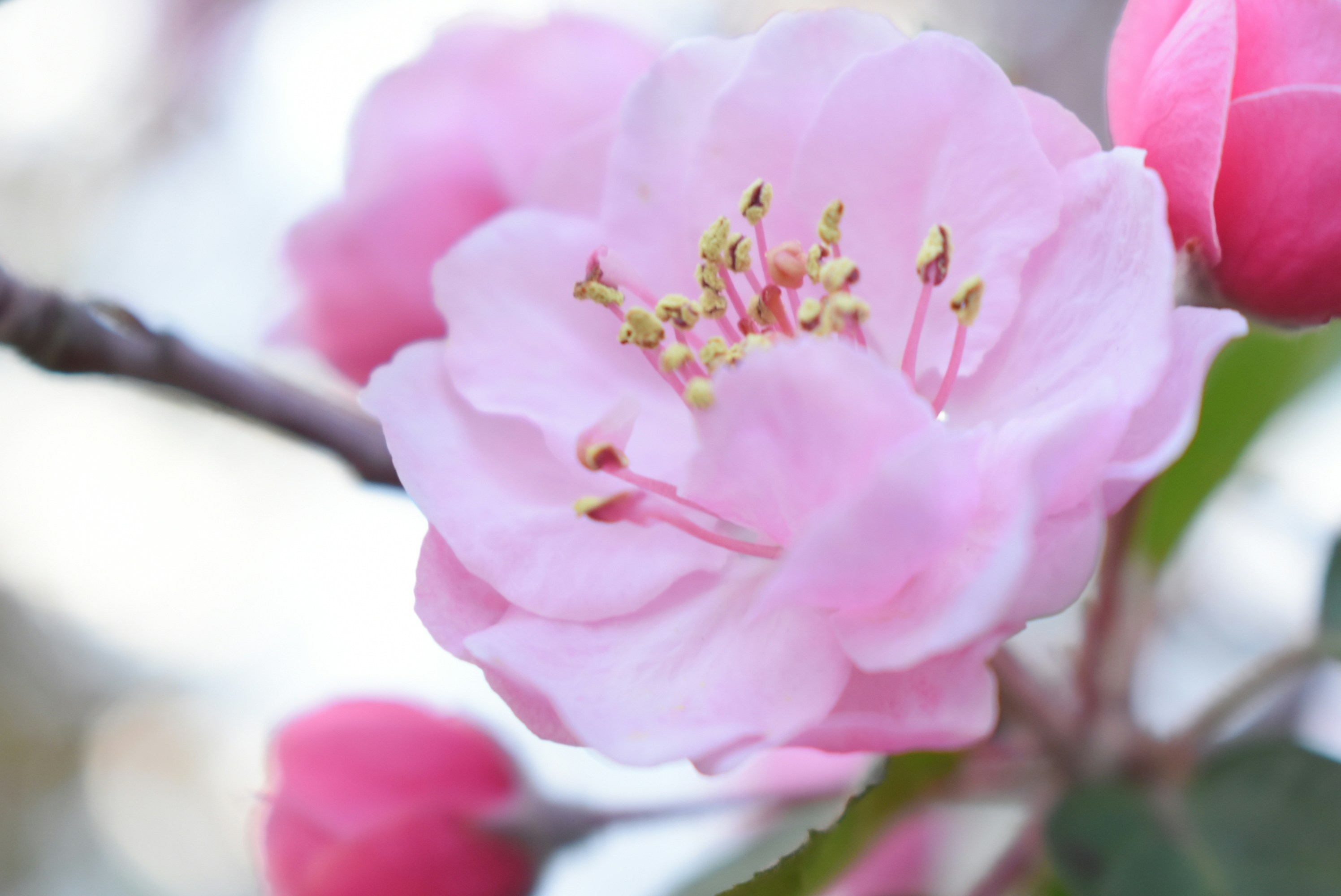 Photo by ellakfernandes