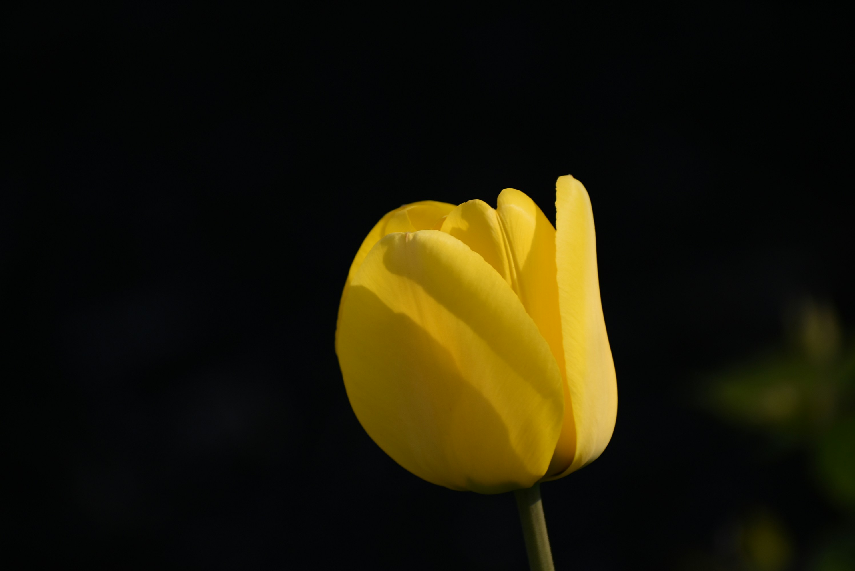 Photo by ellakfernandes