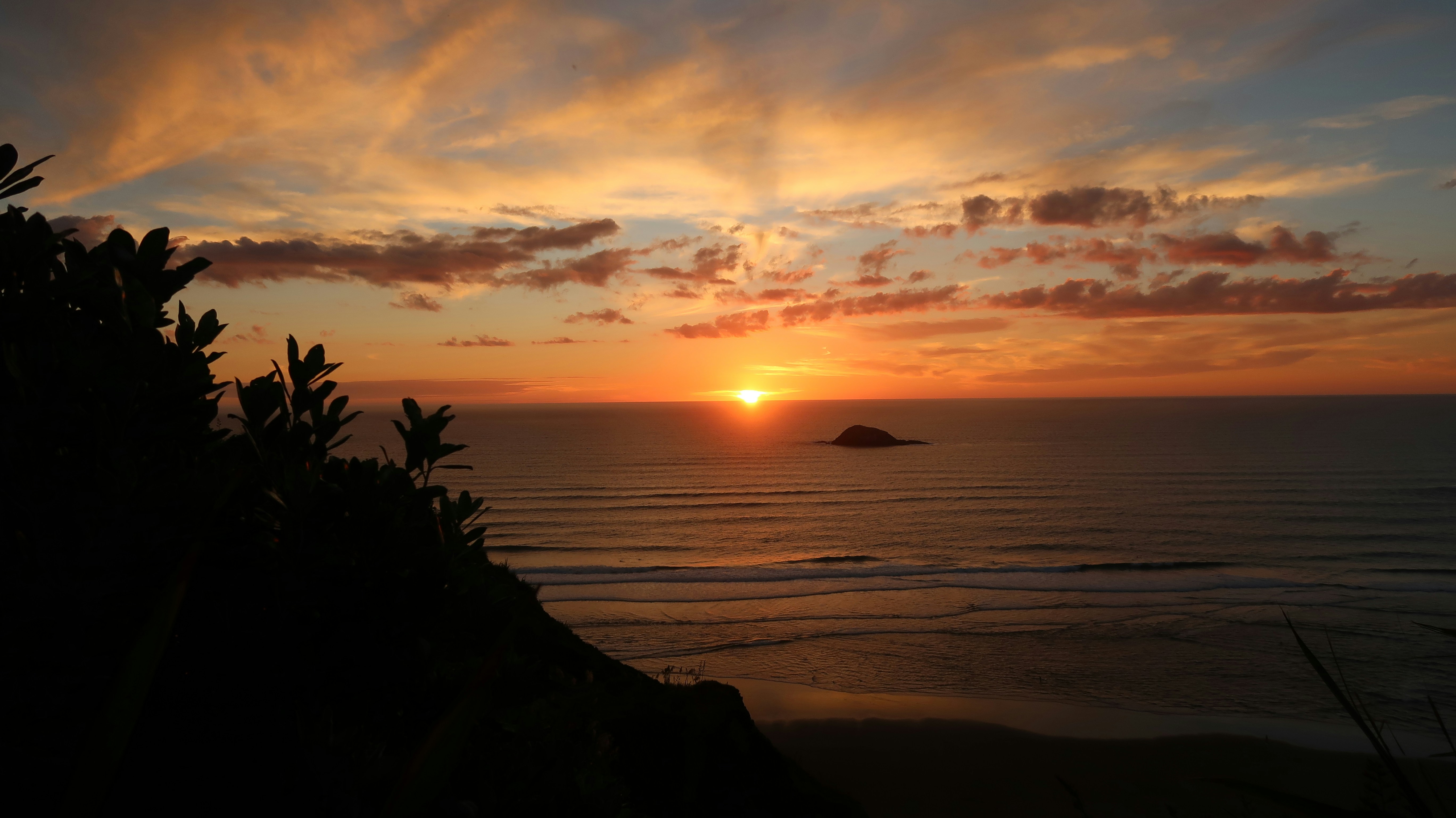 silhouette of trees near body of water during sunset