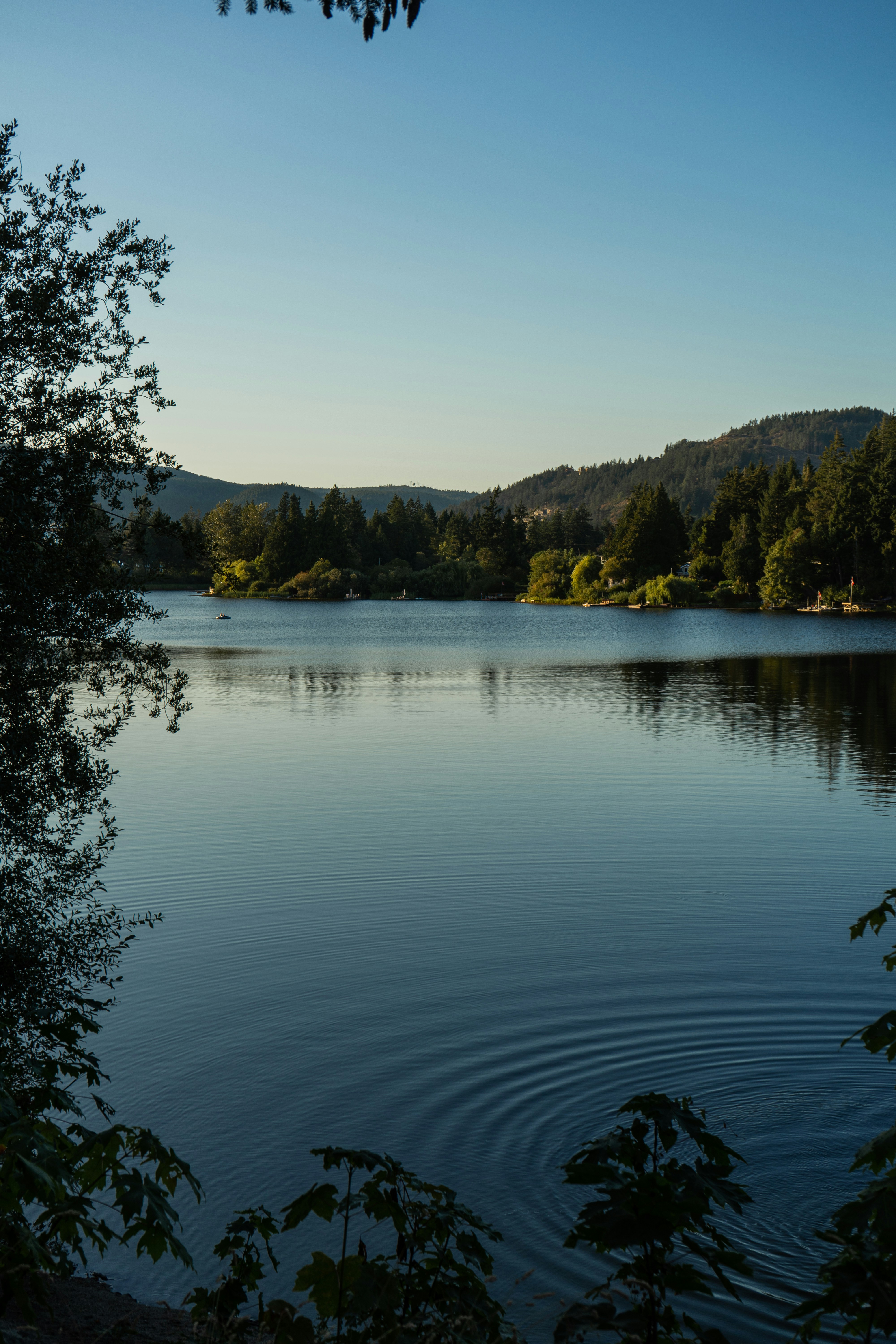 Photo by nicoletarasuk