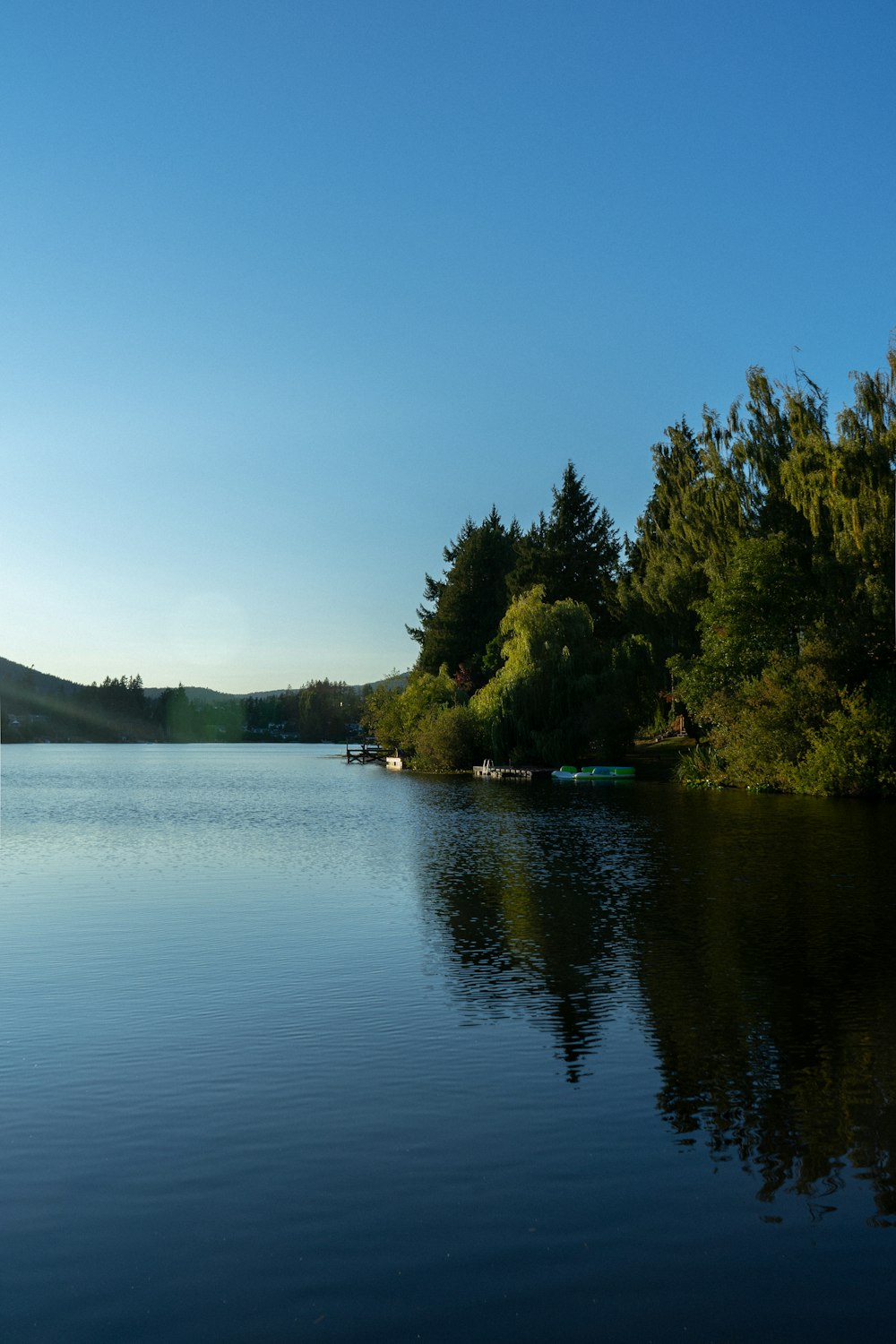 green trees beside body of water under blue sky during daytime