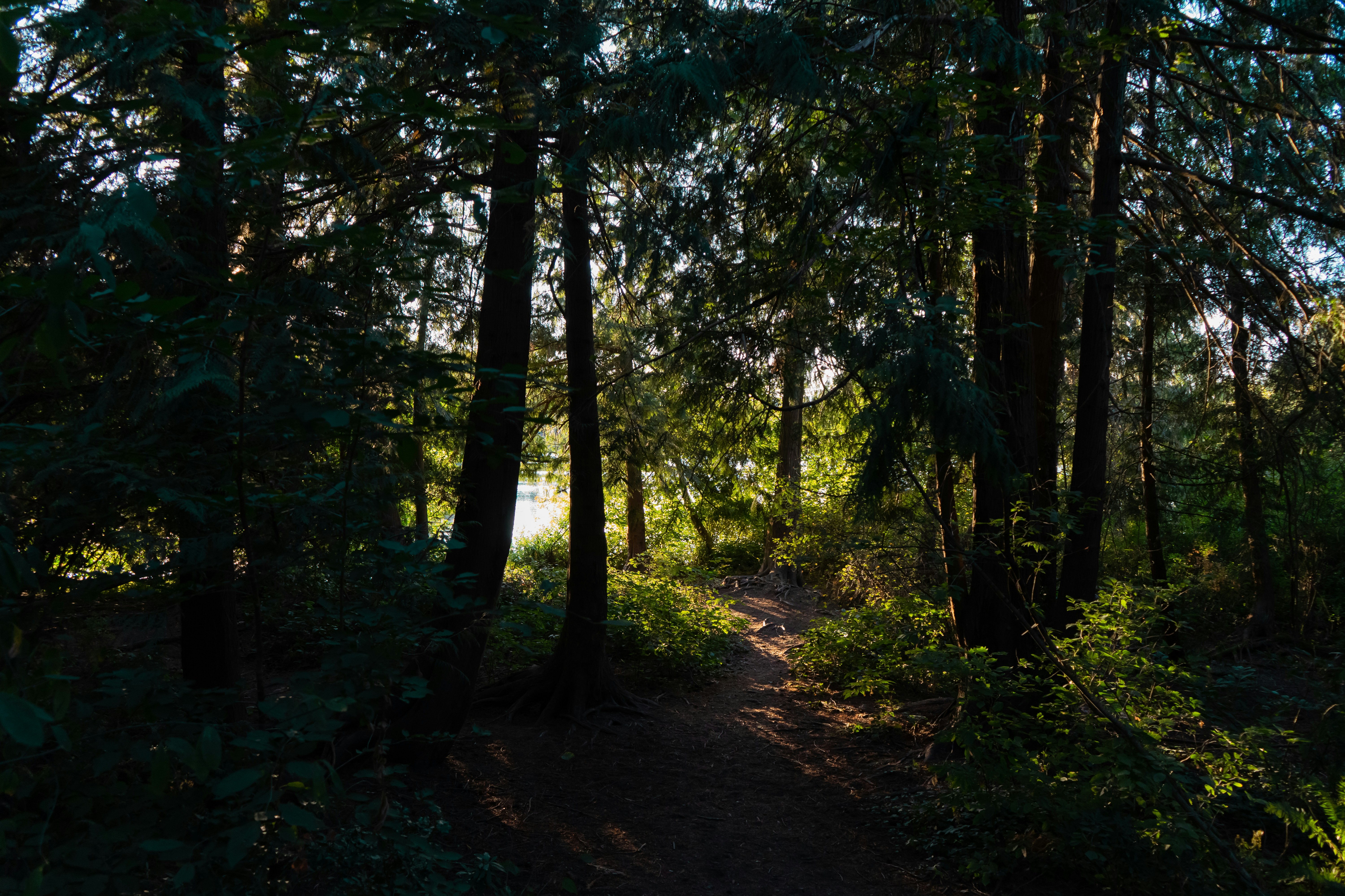 Photo by nicoletarasuk