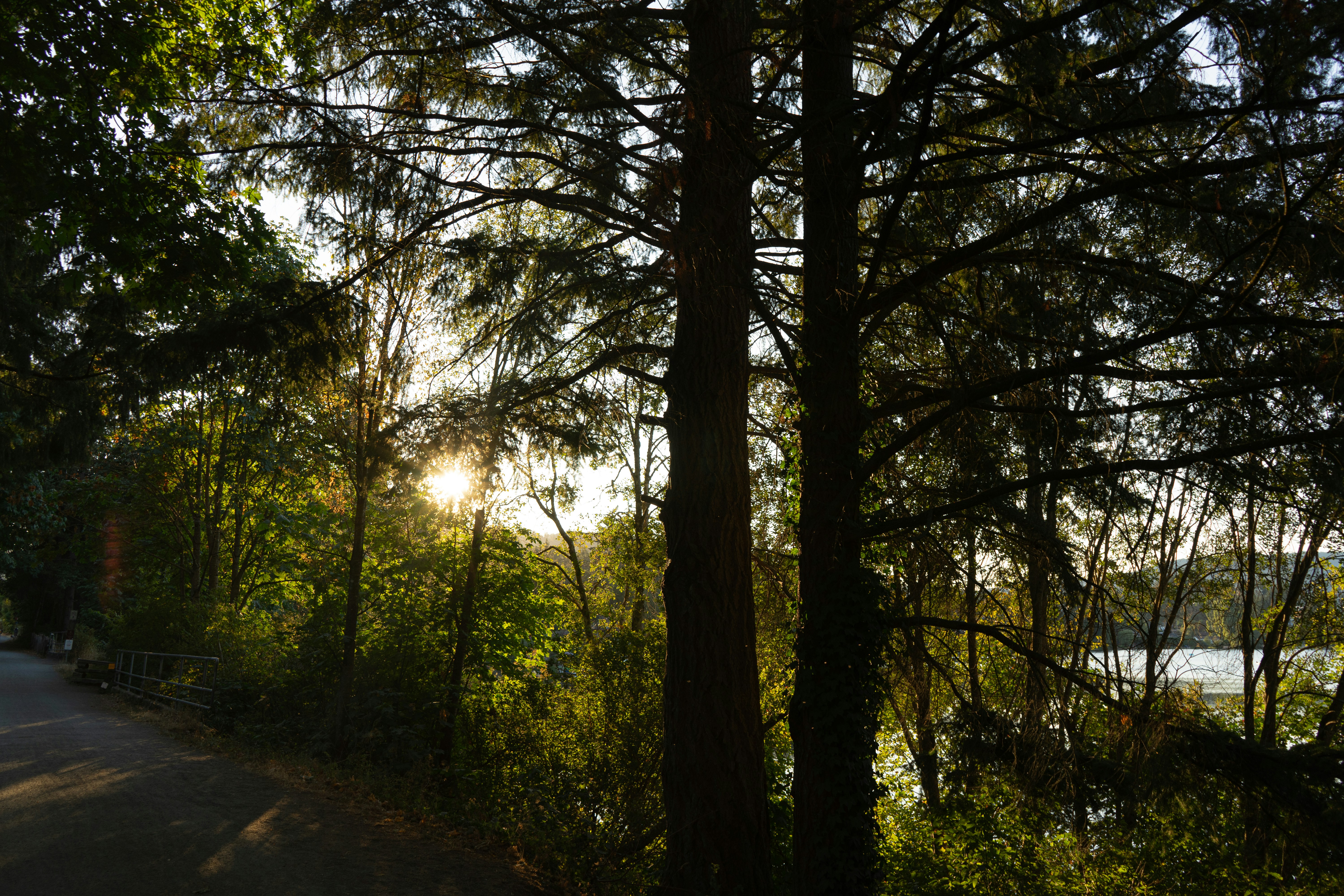 Photo by nicoletarasuk