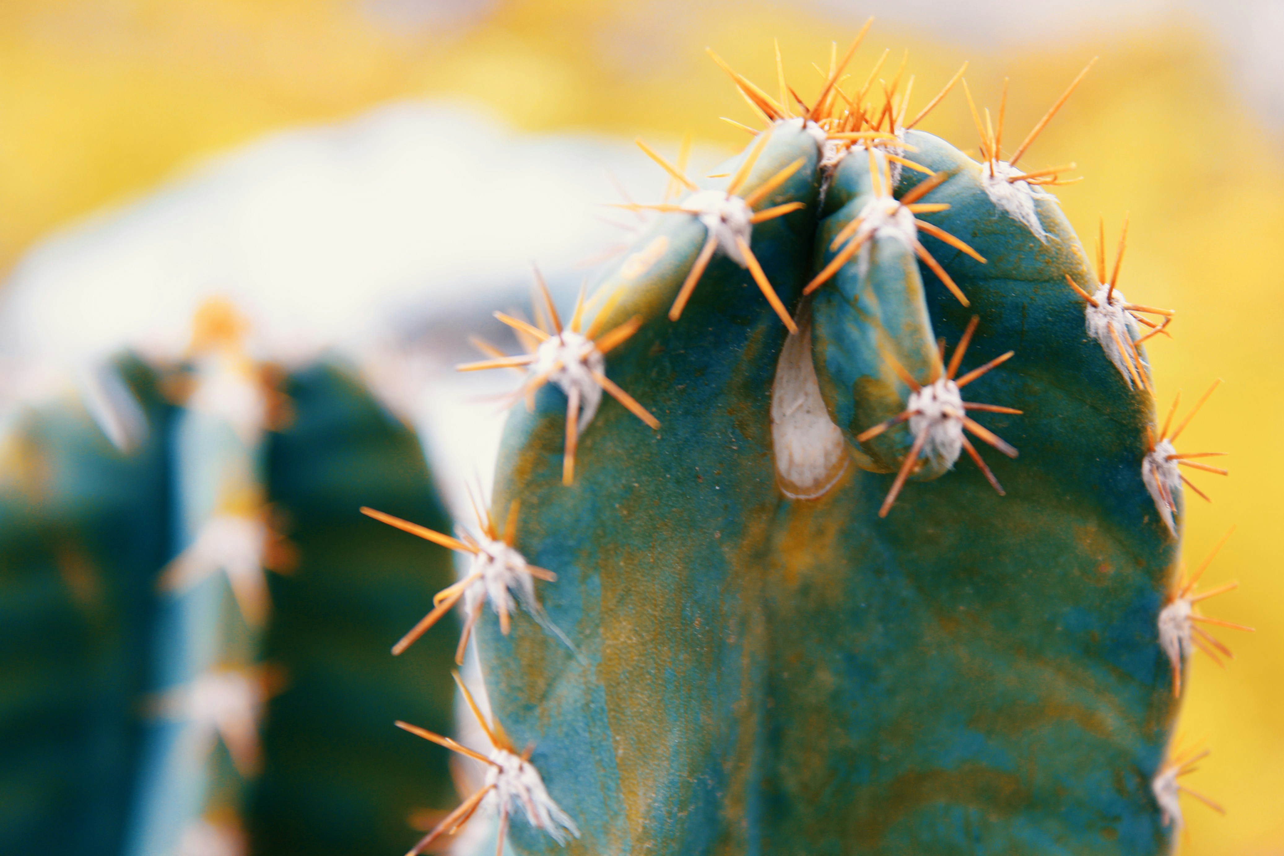 Photo by engineofyouth