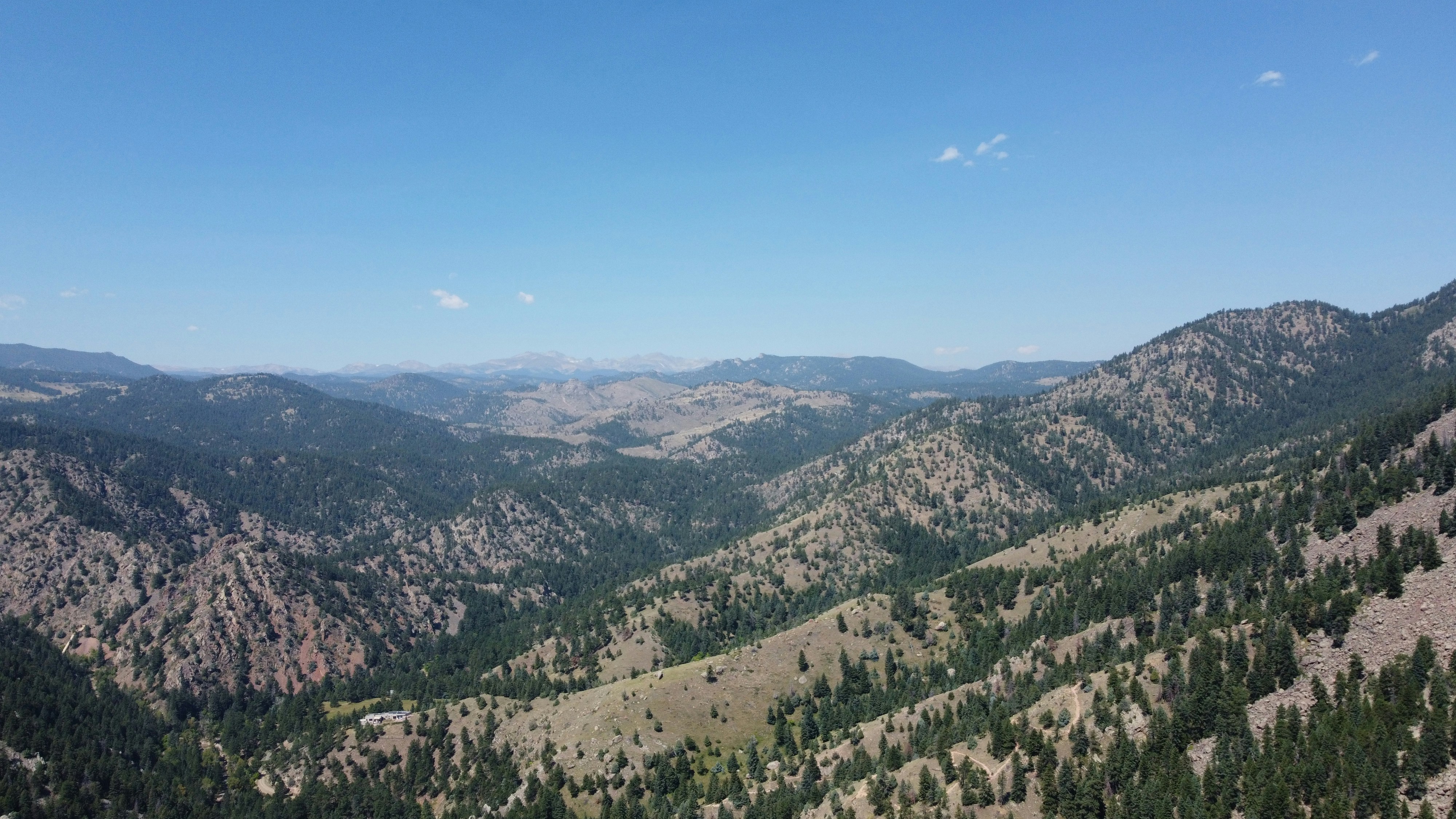 green trees on mountain under blue sky during daytime