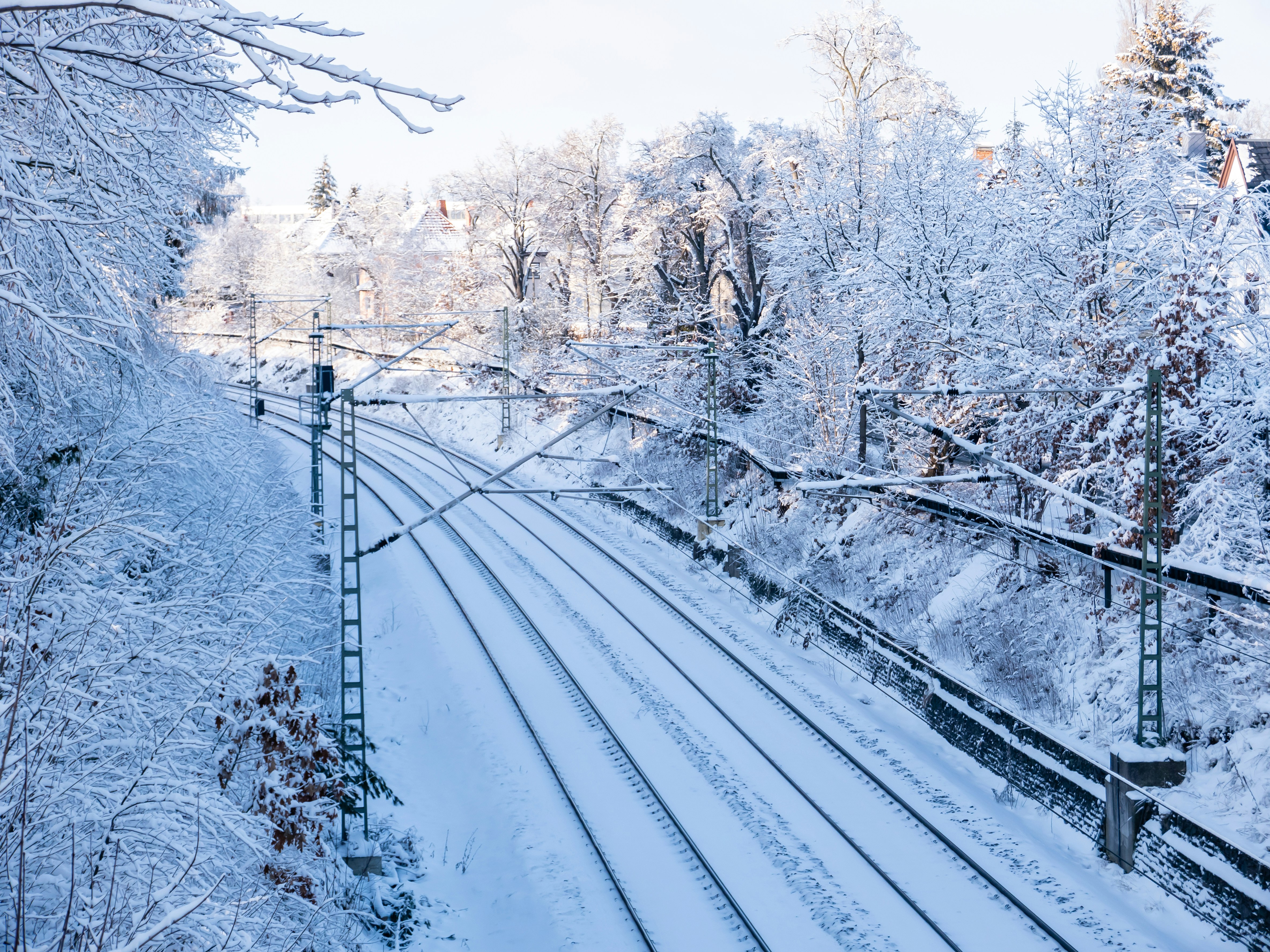Árboles y carreteras cubiertas de nieve