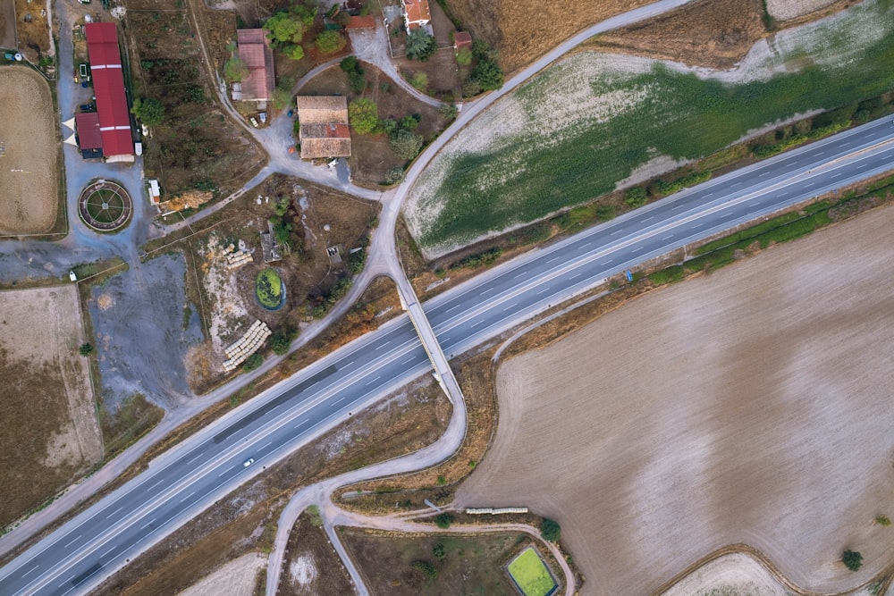 aerial view of green trees and road